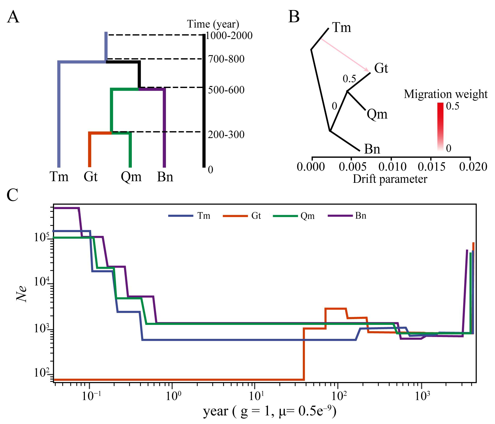 Genes 16 00729 g006