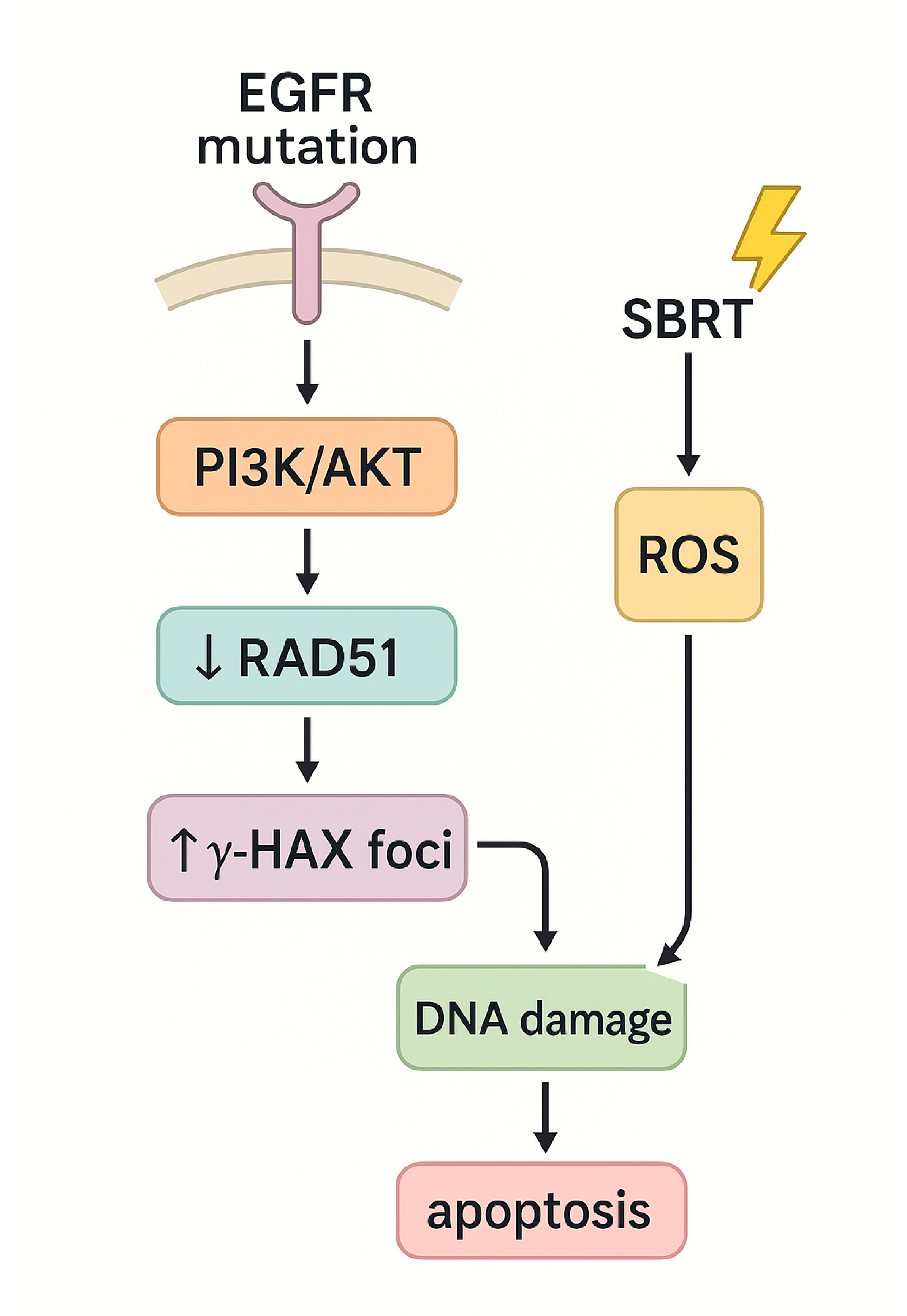 Genes 16 00732 g004