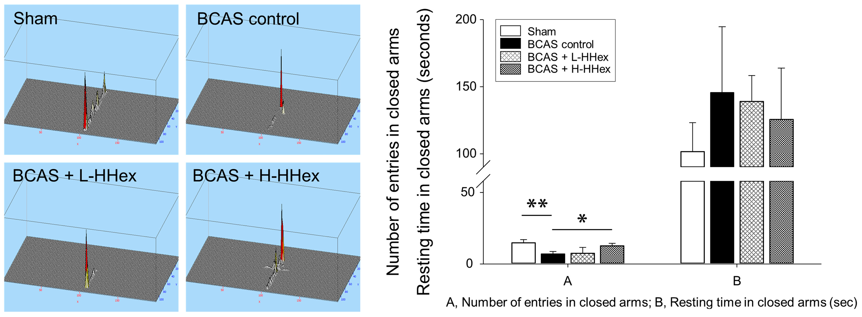 Genes 16 00746 g005
