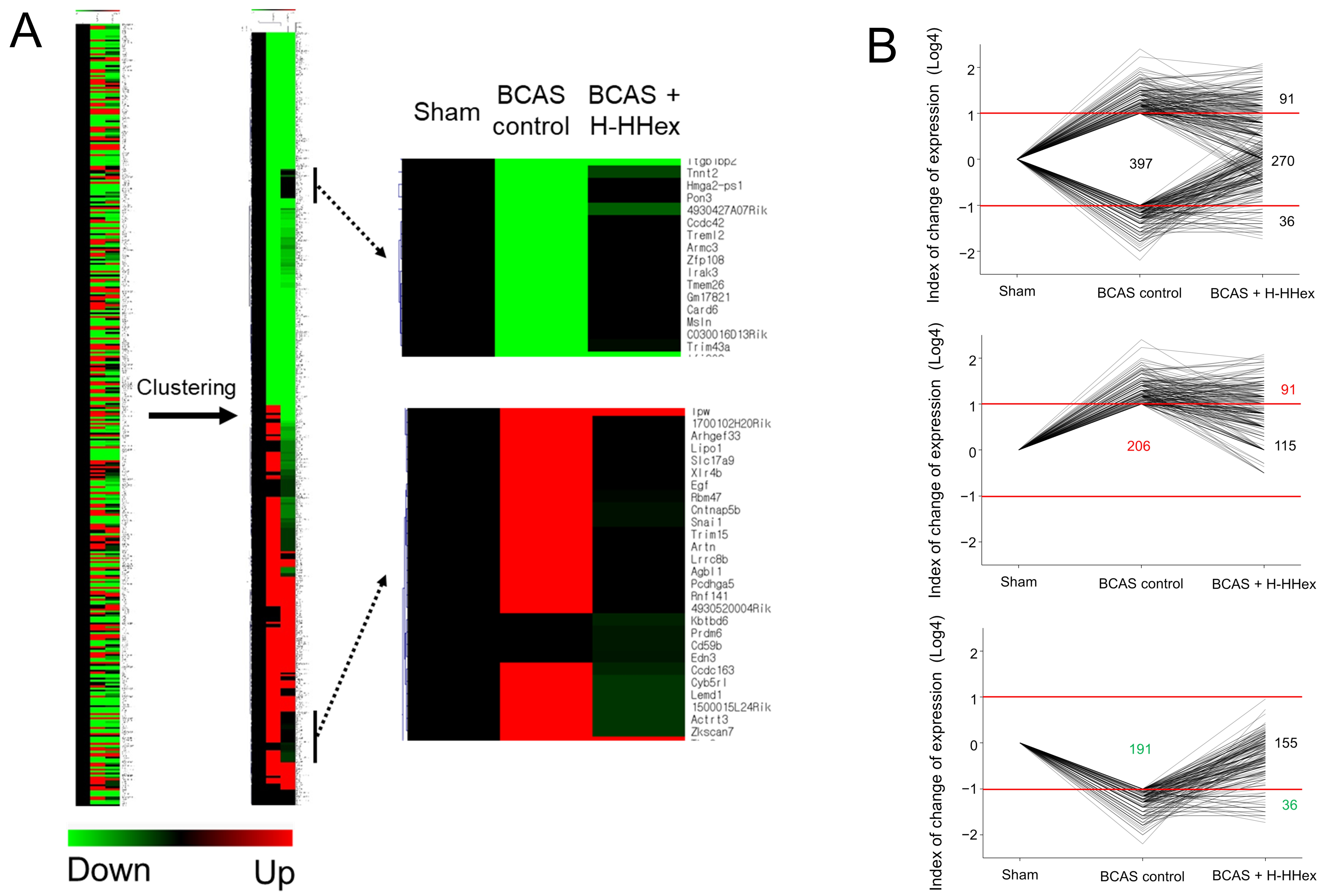 Genes 16 00746 g007