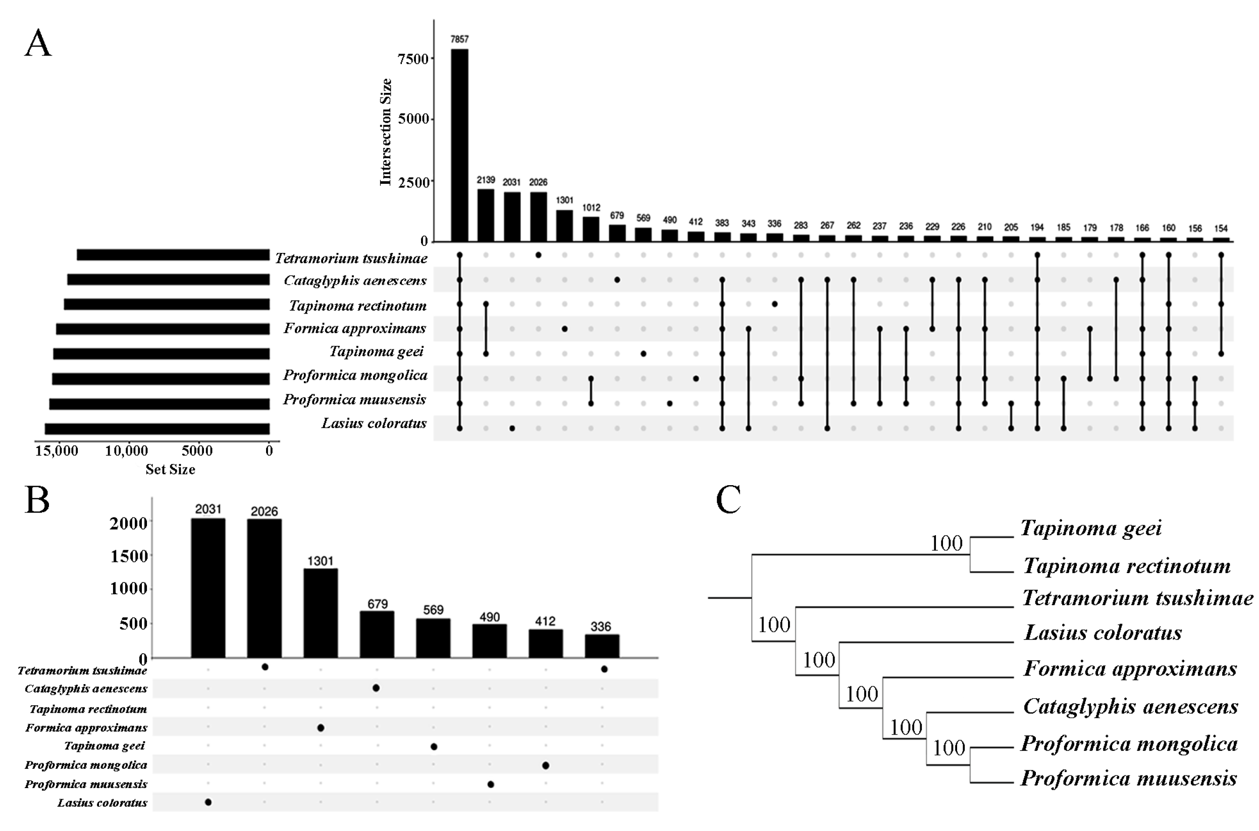 Genes 16 00749 g002