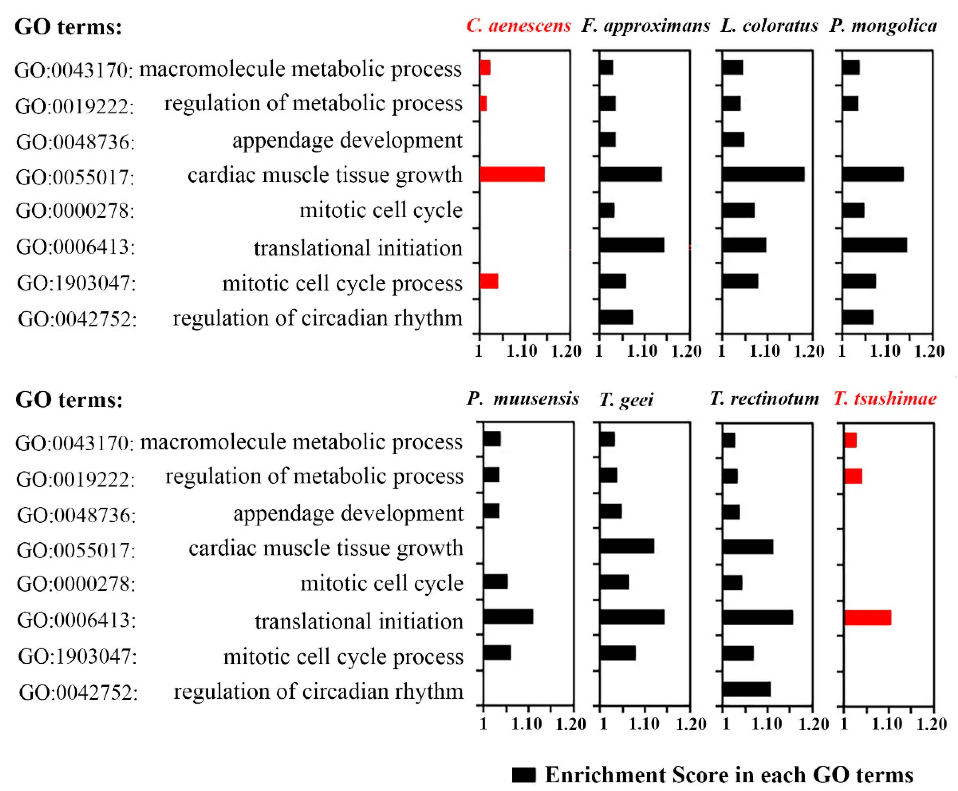 Genes 16 00749 g008