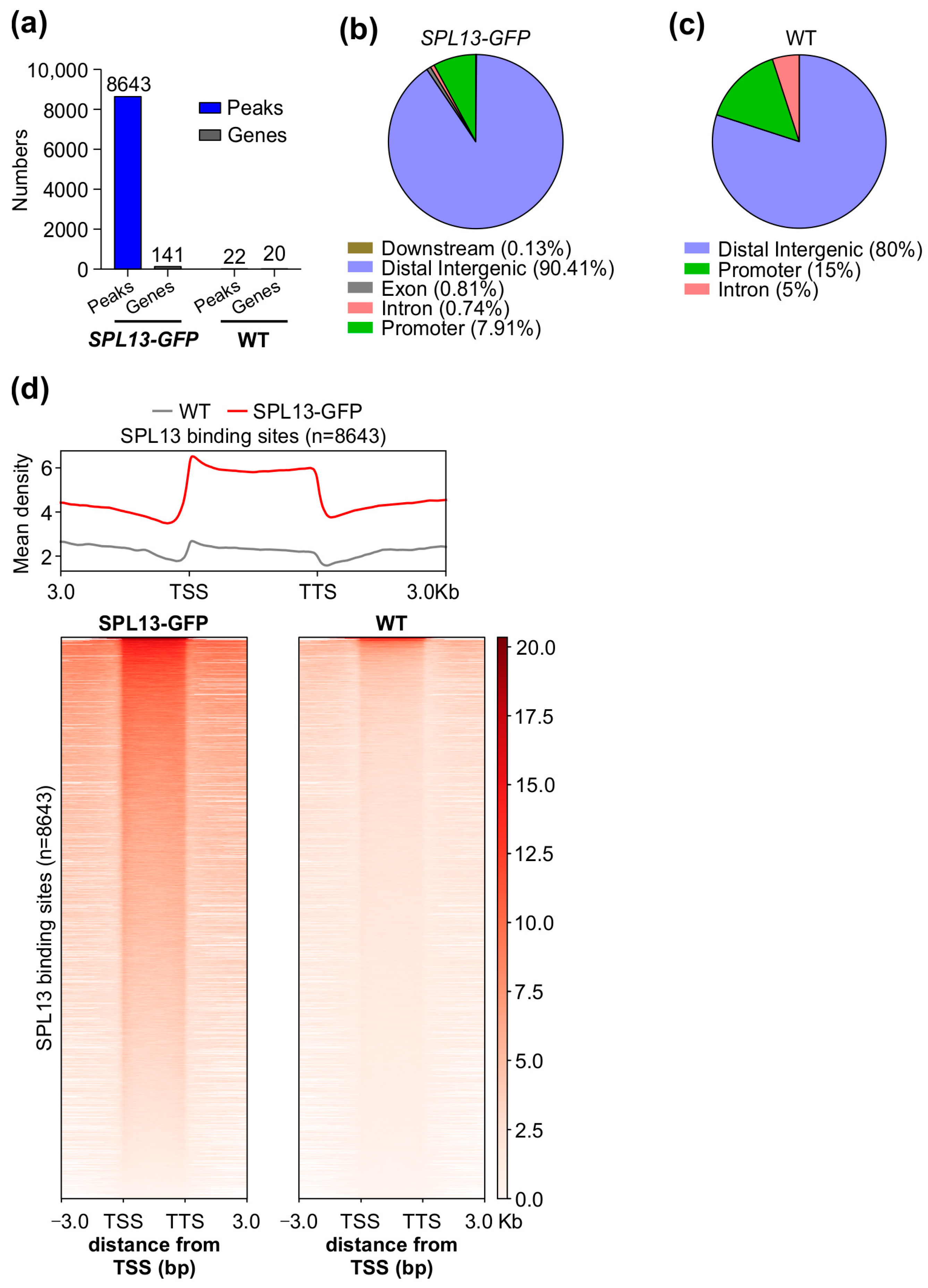 Genes 16 00751 g010