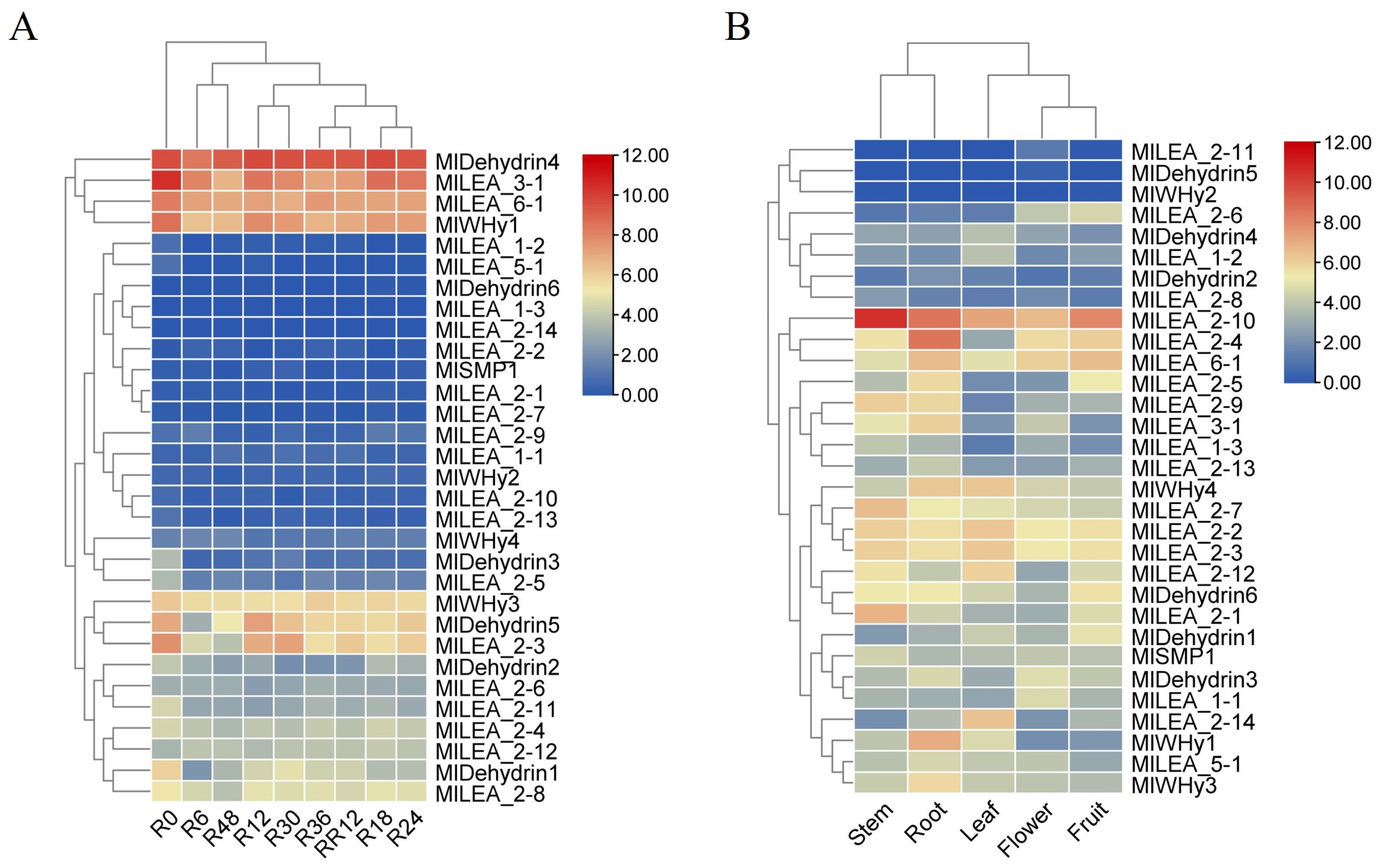 Genes 16 00763 g006