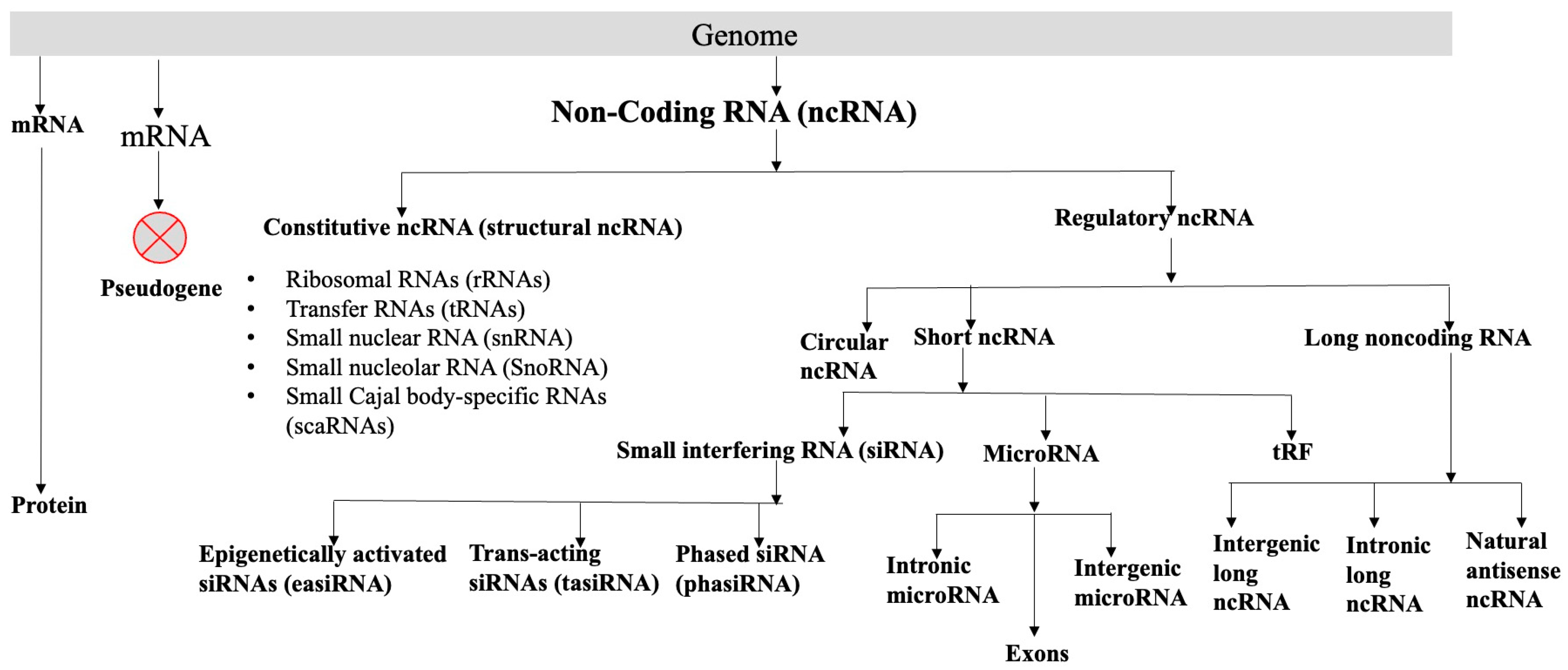 Genes 16 00765 g001 Genes 16 00765 g001