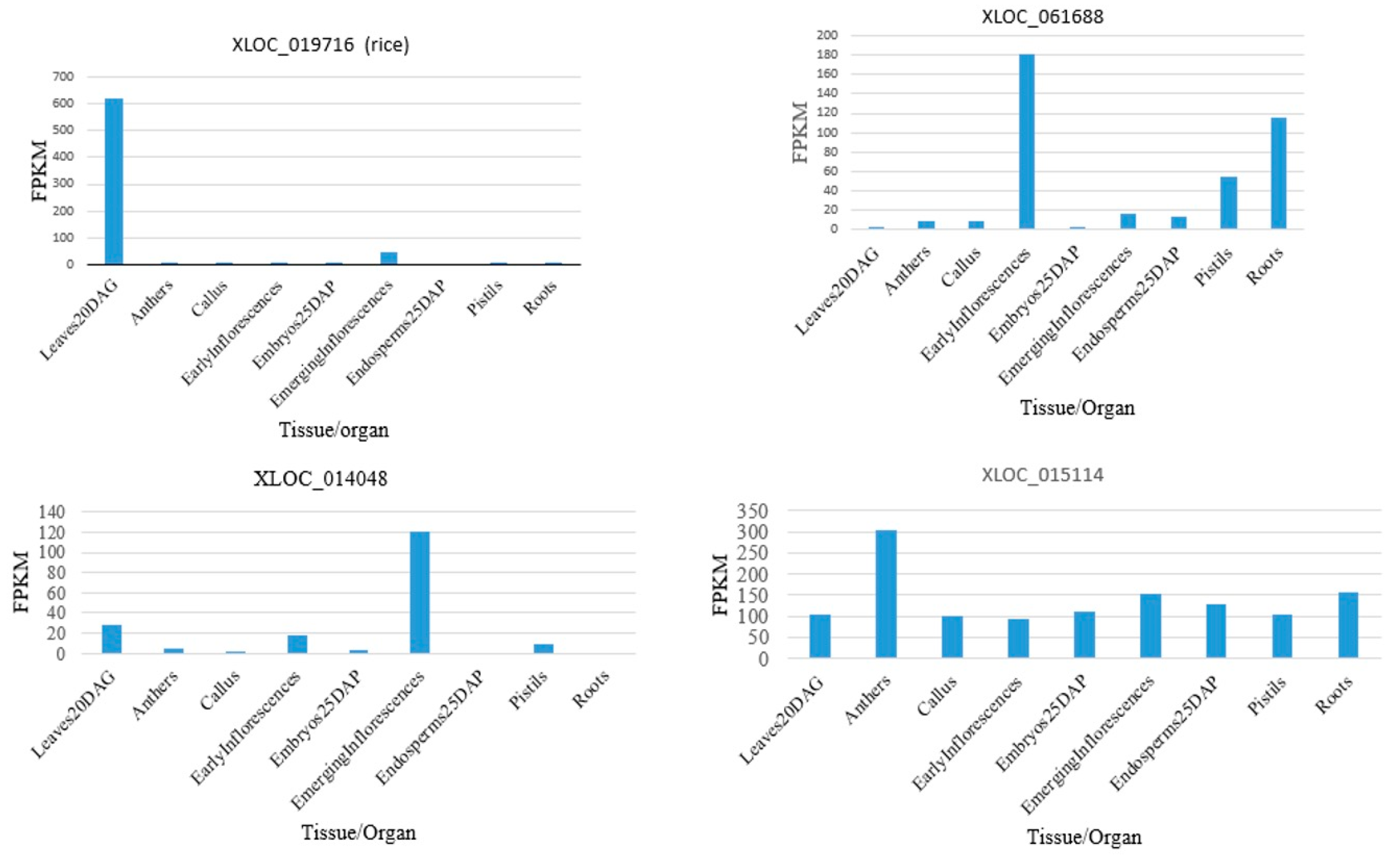 Genes 16 00765 g004 Genes 16 00765 g004