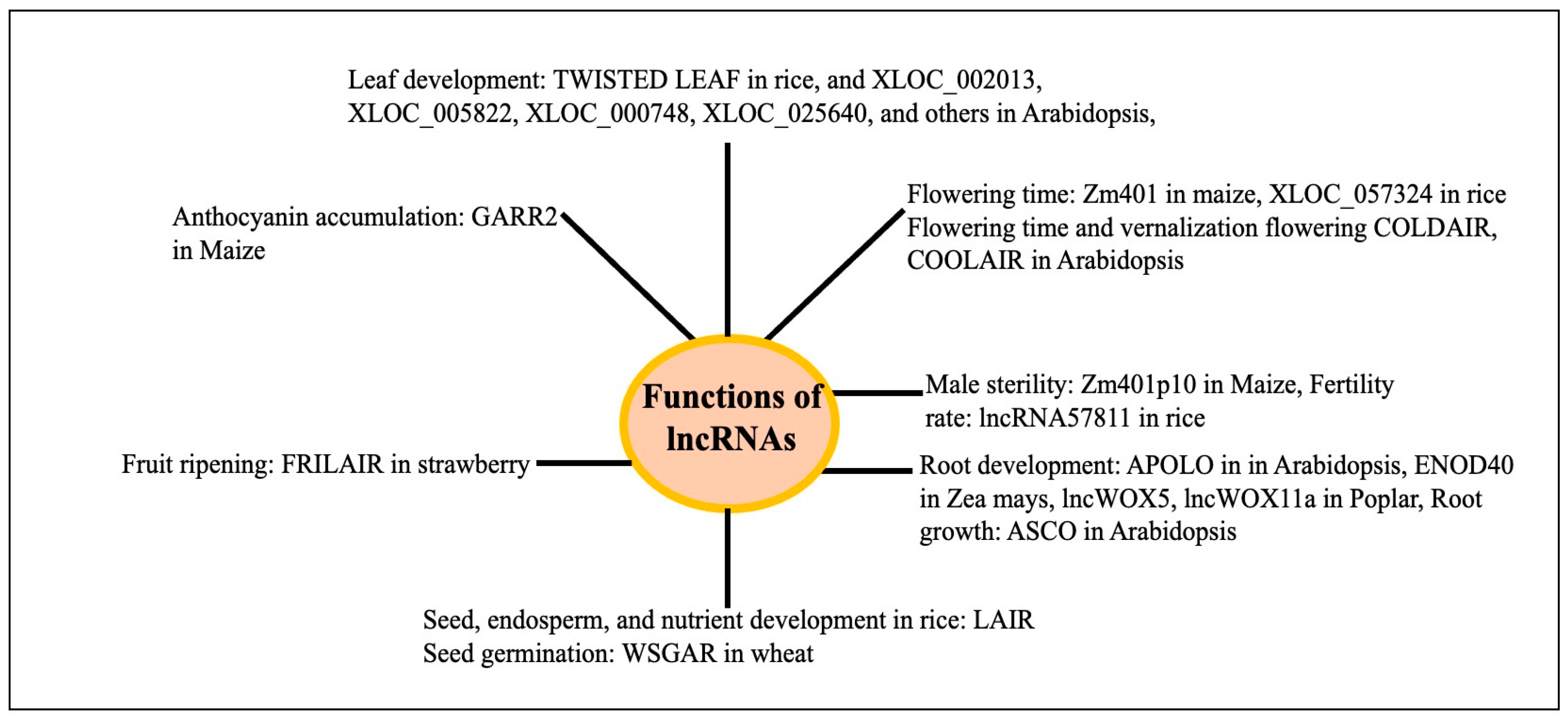 Genes 16 00765 g009 Genes 16 00765 g009