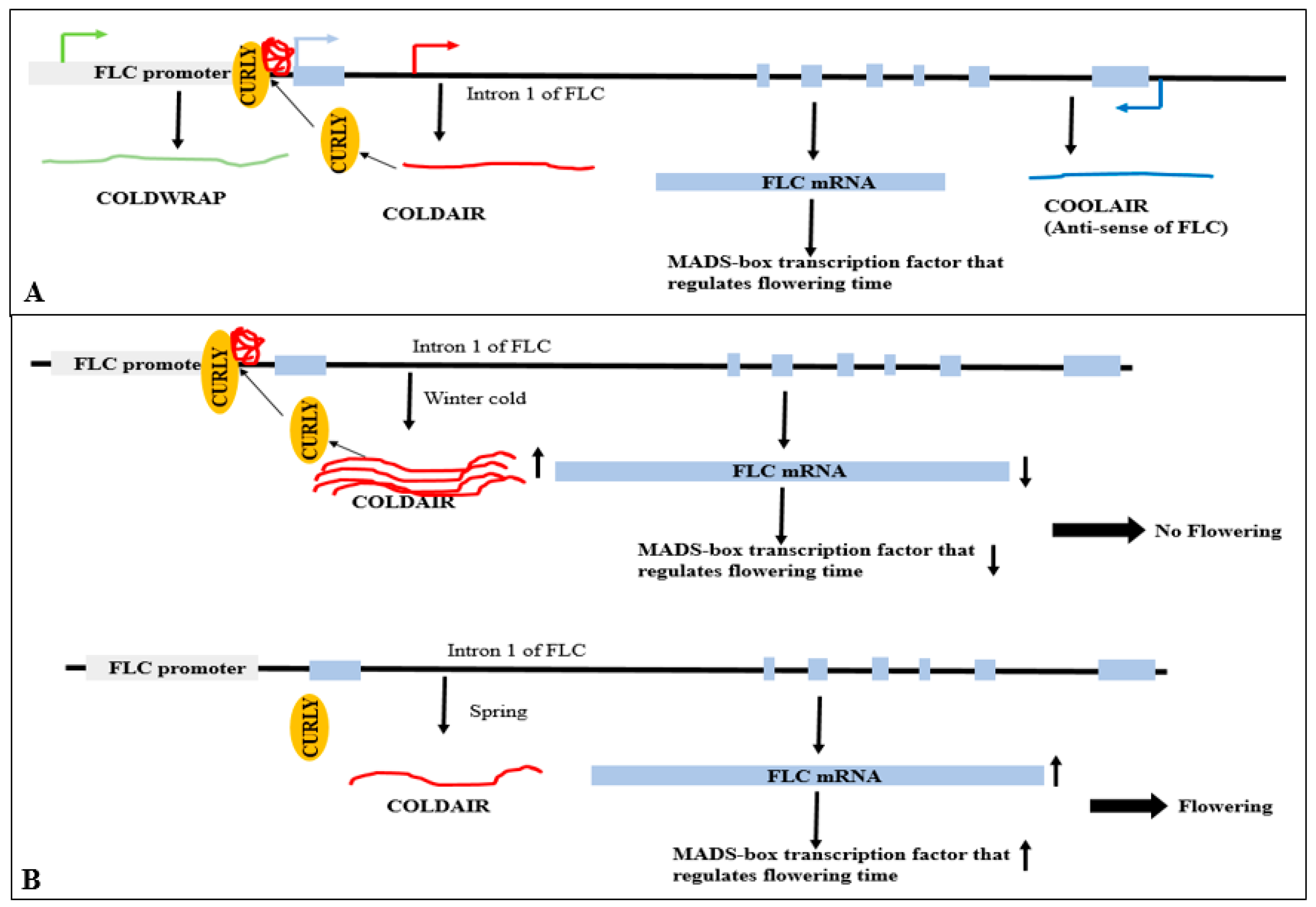 Genes 16 00765 g016 Genes 16 00765 g016