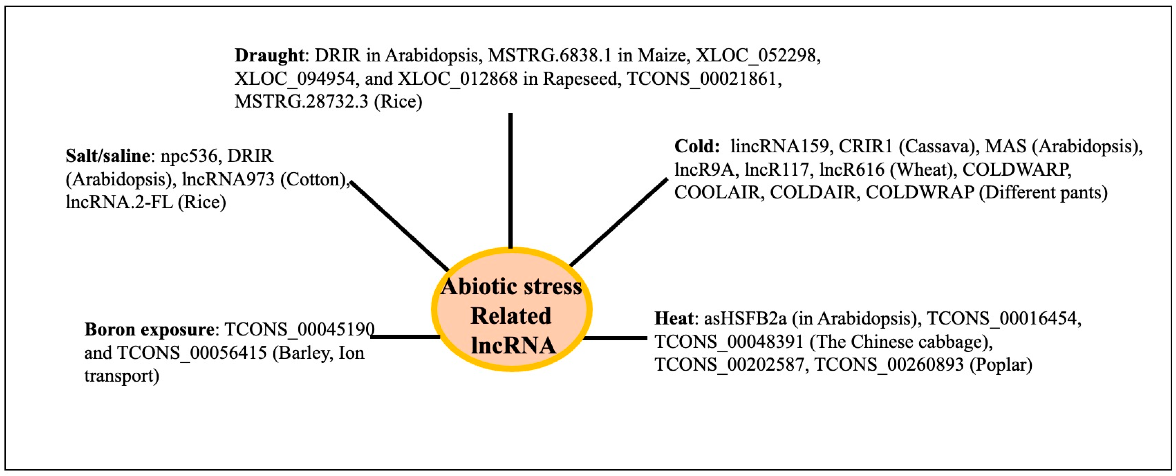 Genes 16 00765 g018 Genes 16 00765 g018