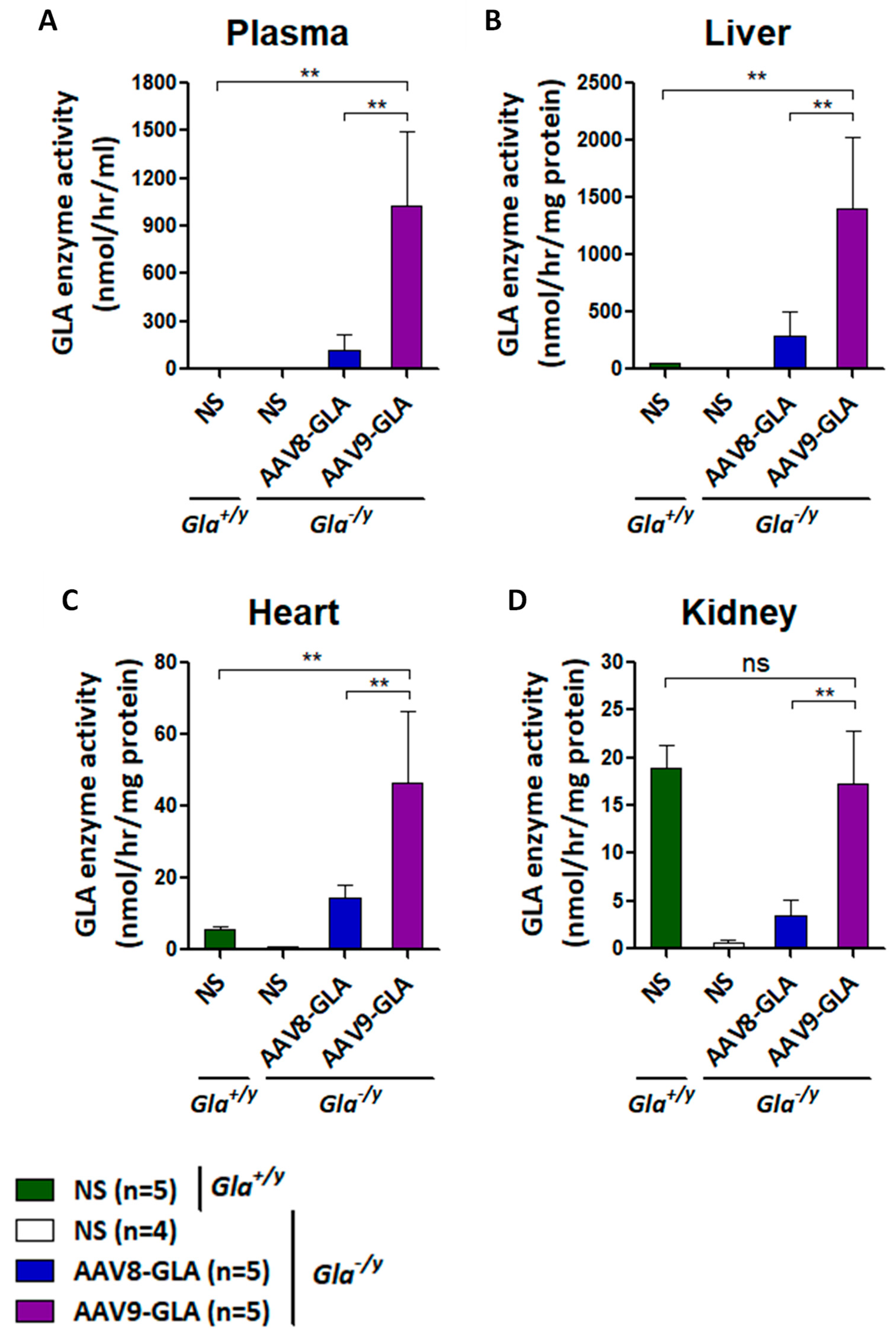 Genes 16 00766 g002