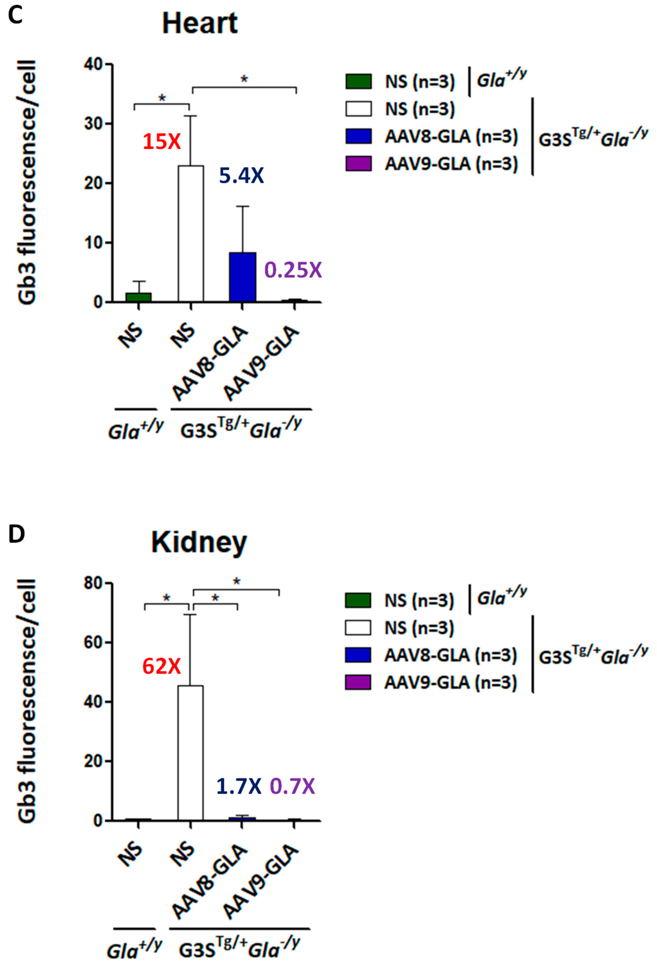 Genes 16 00766 g005b