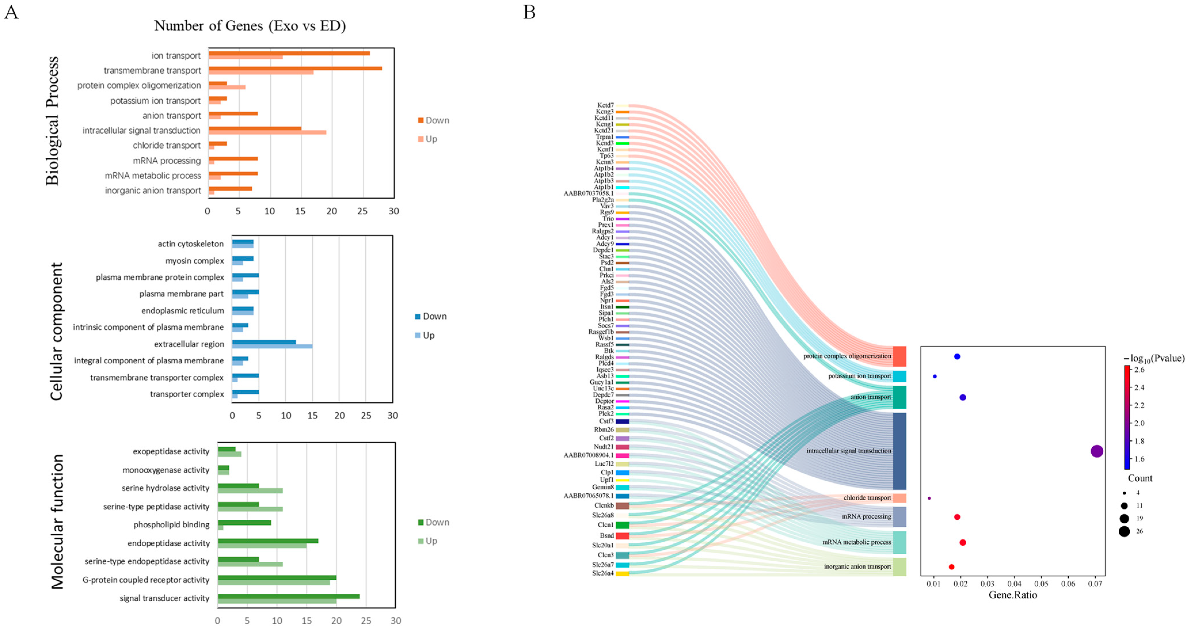 Genes 16 00768 g004