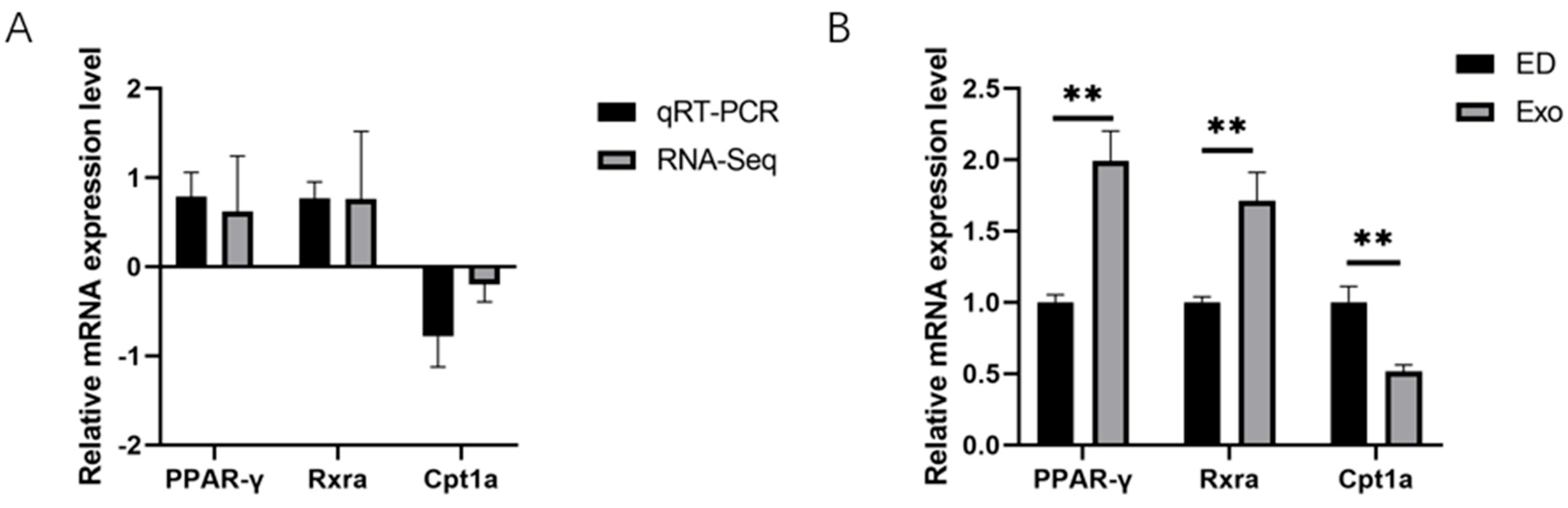 Genes 16 00768 g006