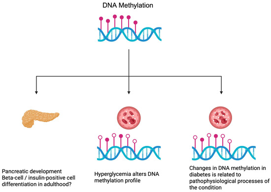 Epigenetics Plays a Role in the Pathogenesis and Treatment of Diabetes