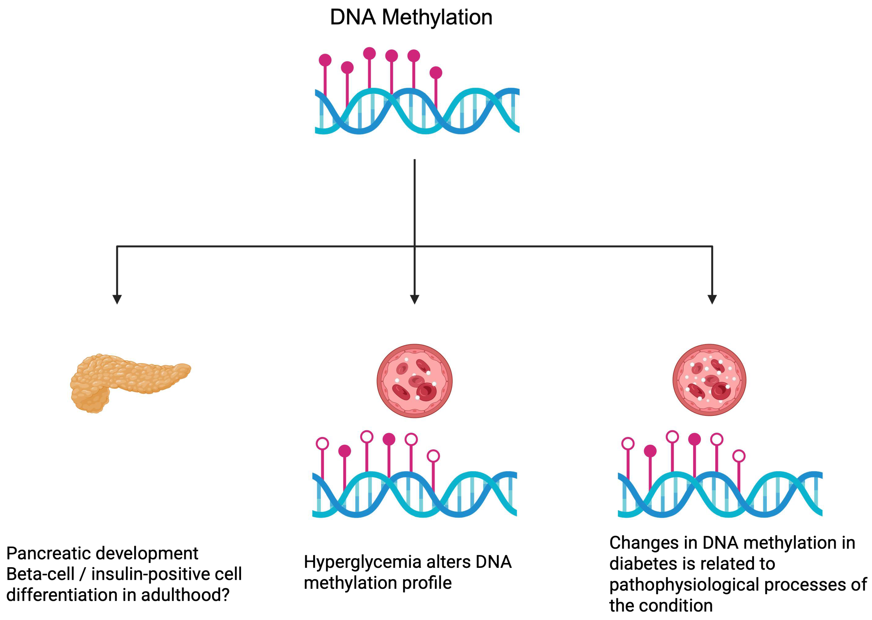 Genes 16 00769 g002