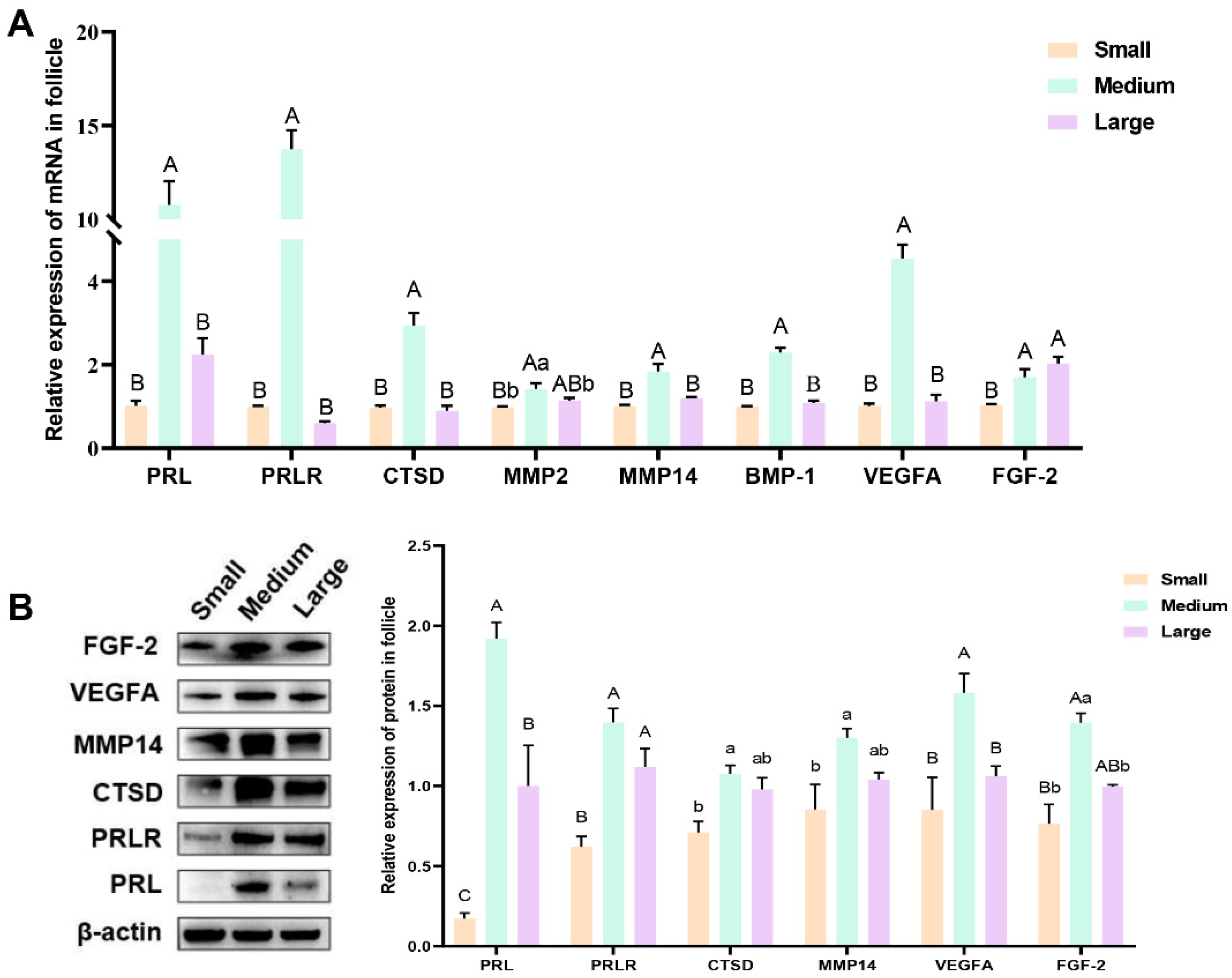 Genes 16 00774 g003 Genes 16 00774 g003