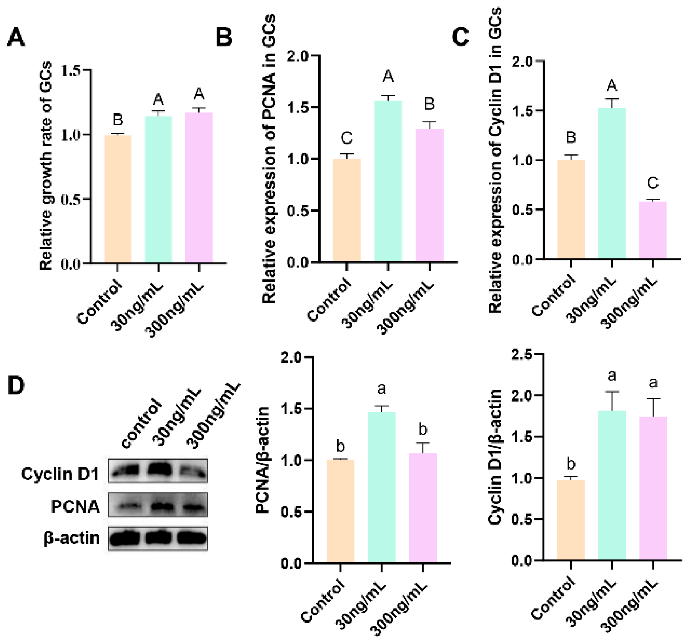 Genes 16 00774 g004 Genes 16 00774 g004