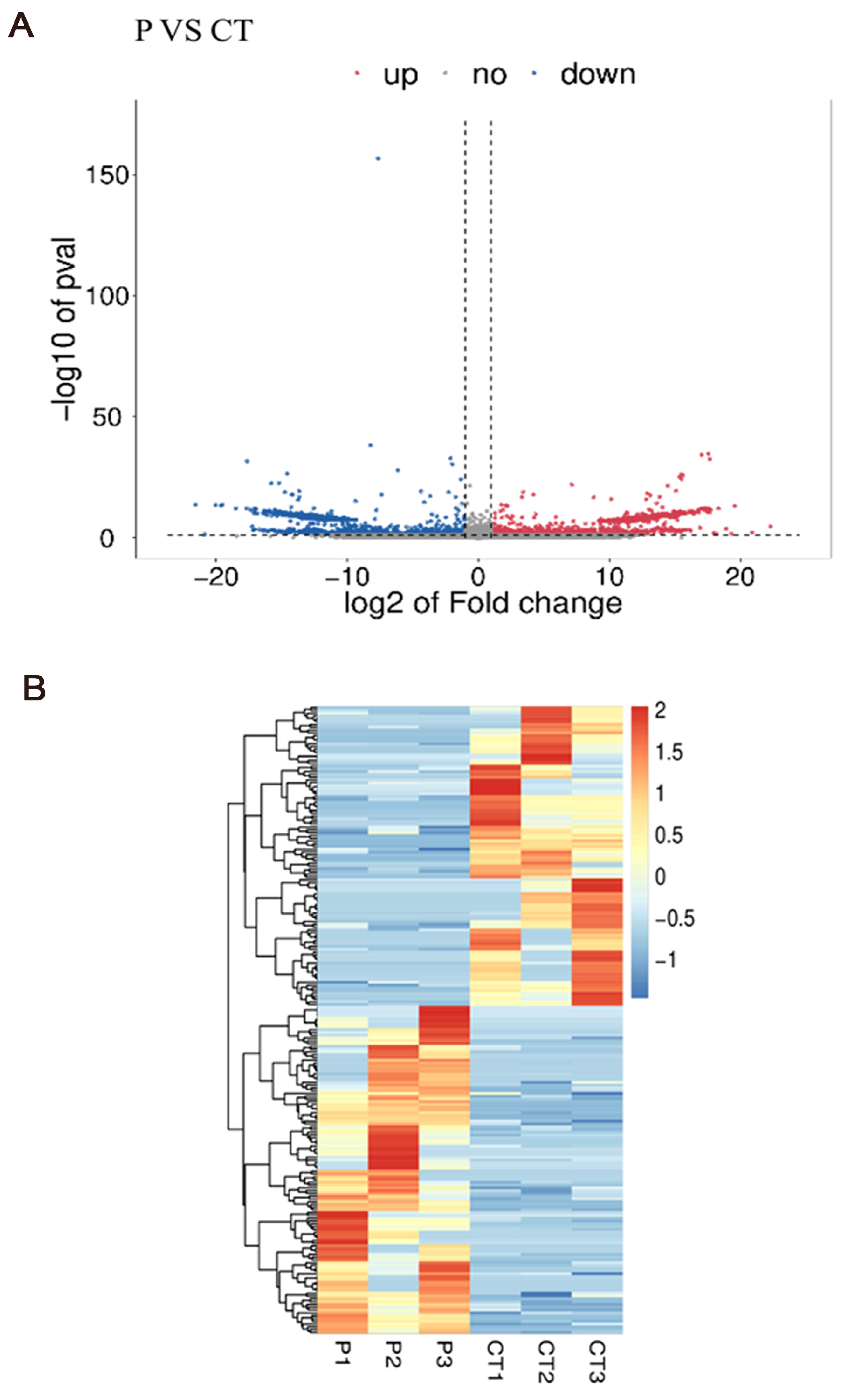 Genes 16 00774 g007 Genes 16 00774 g007
