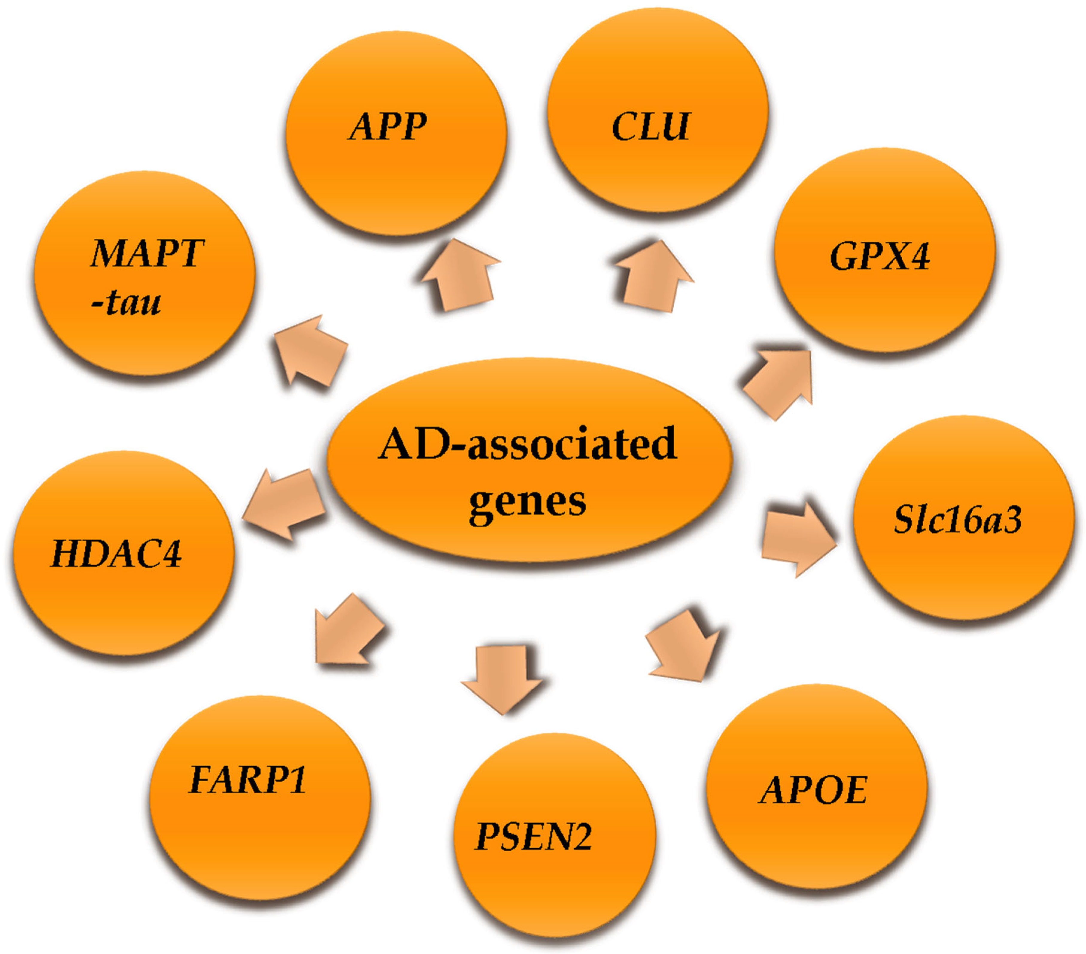 Genes 16 00782 g001 Genes 16 00782 g001