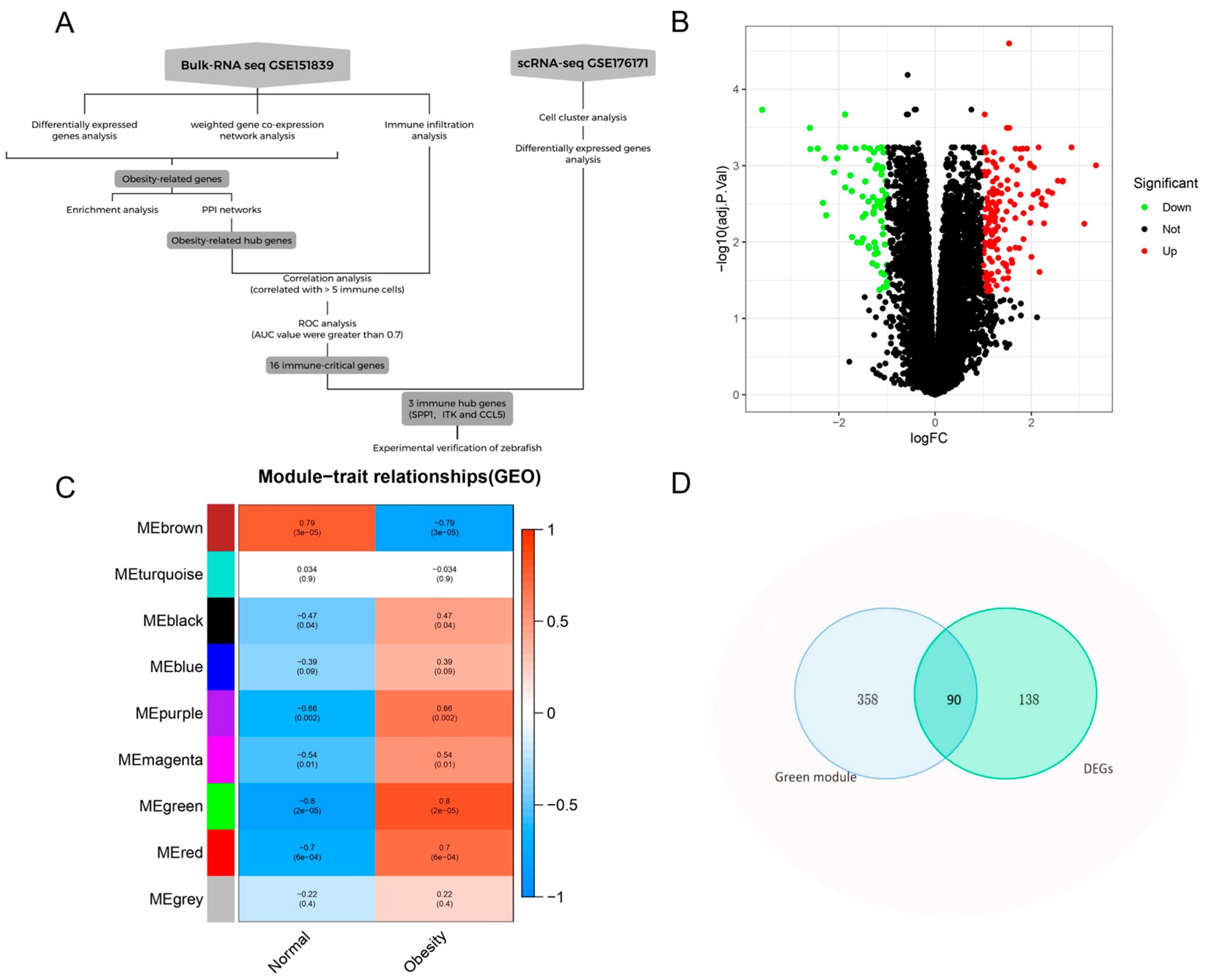Genes 16 00783 g001