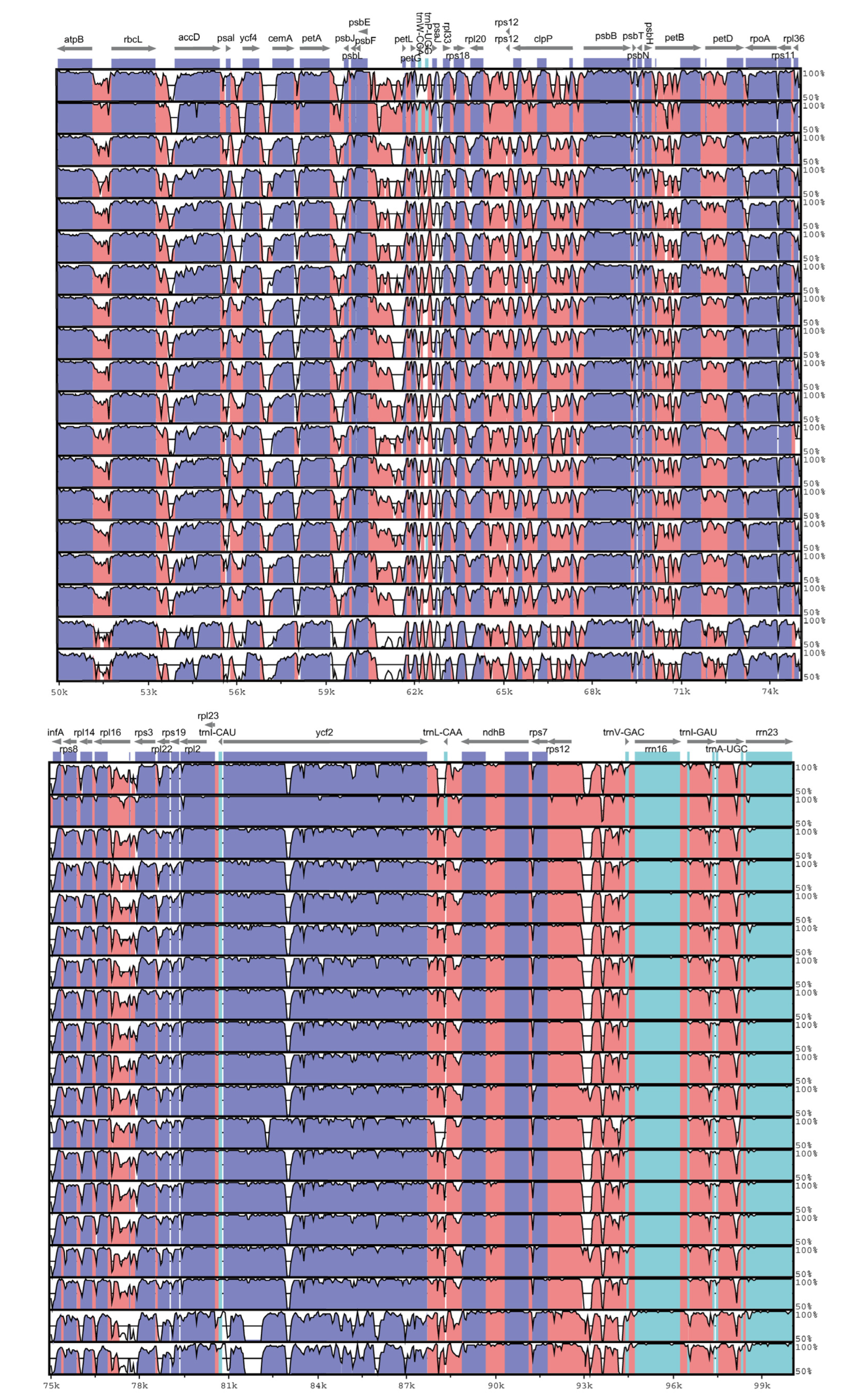 Genes 16 00789 g005b