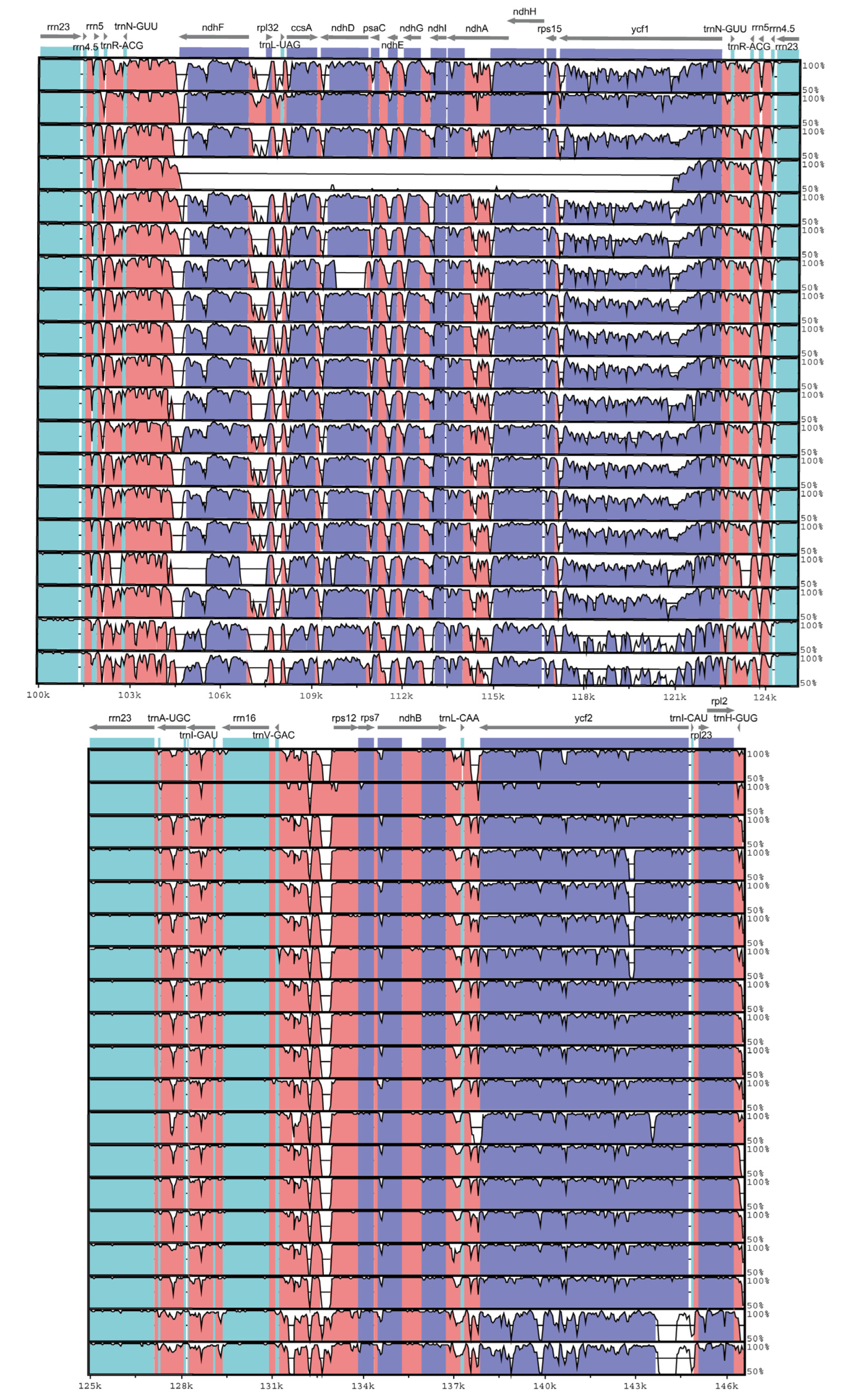 Genes 16 00789 g005c