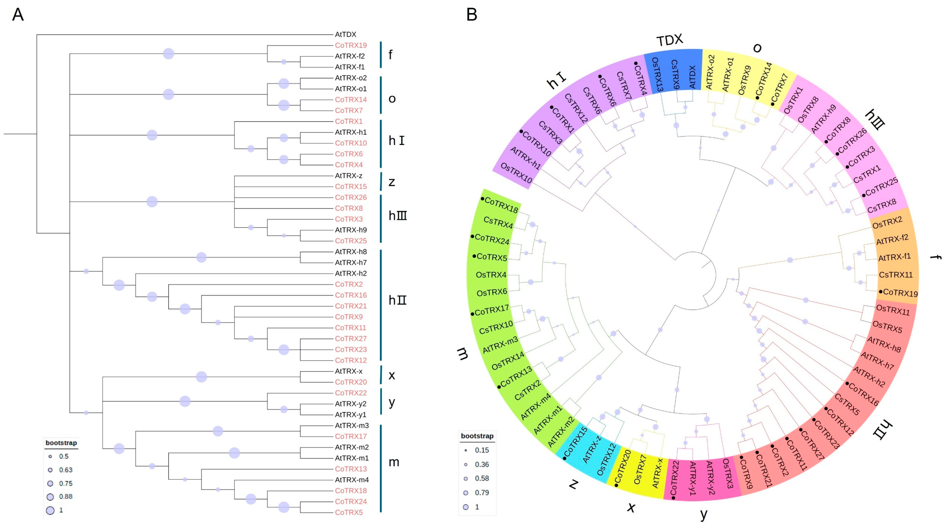 Genes 16 00790 g002
