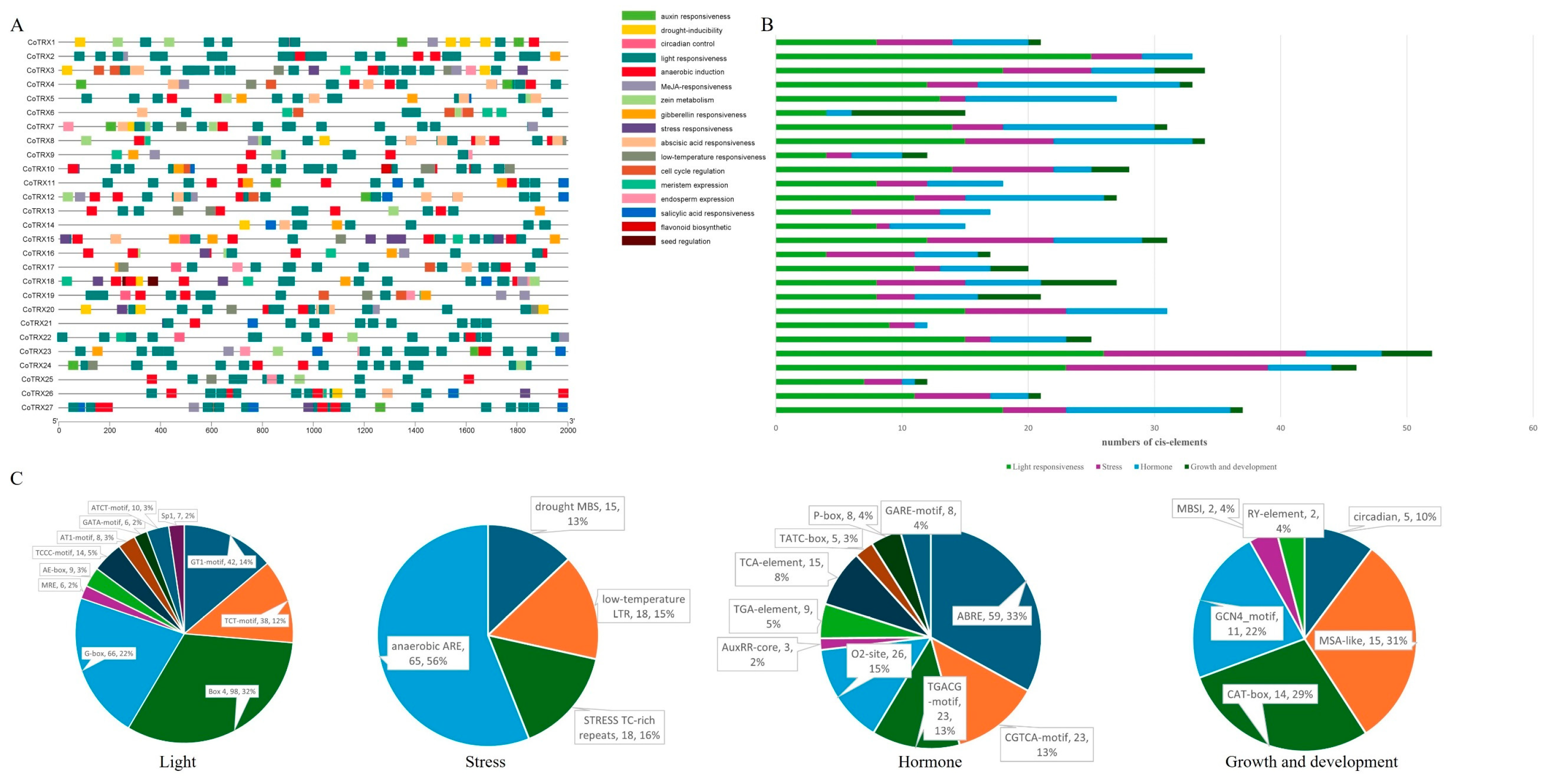 Genes 16 00790 g004