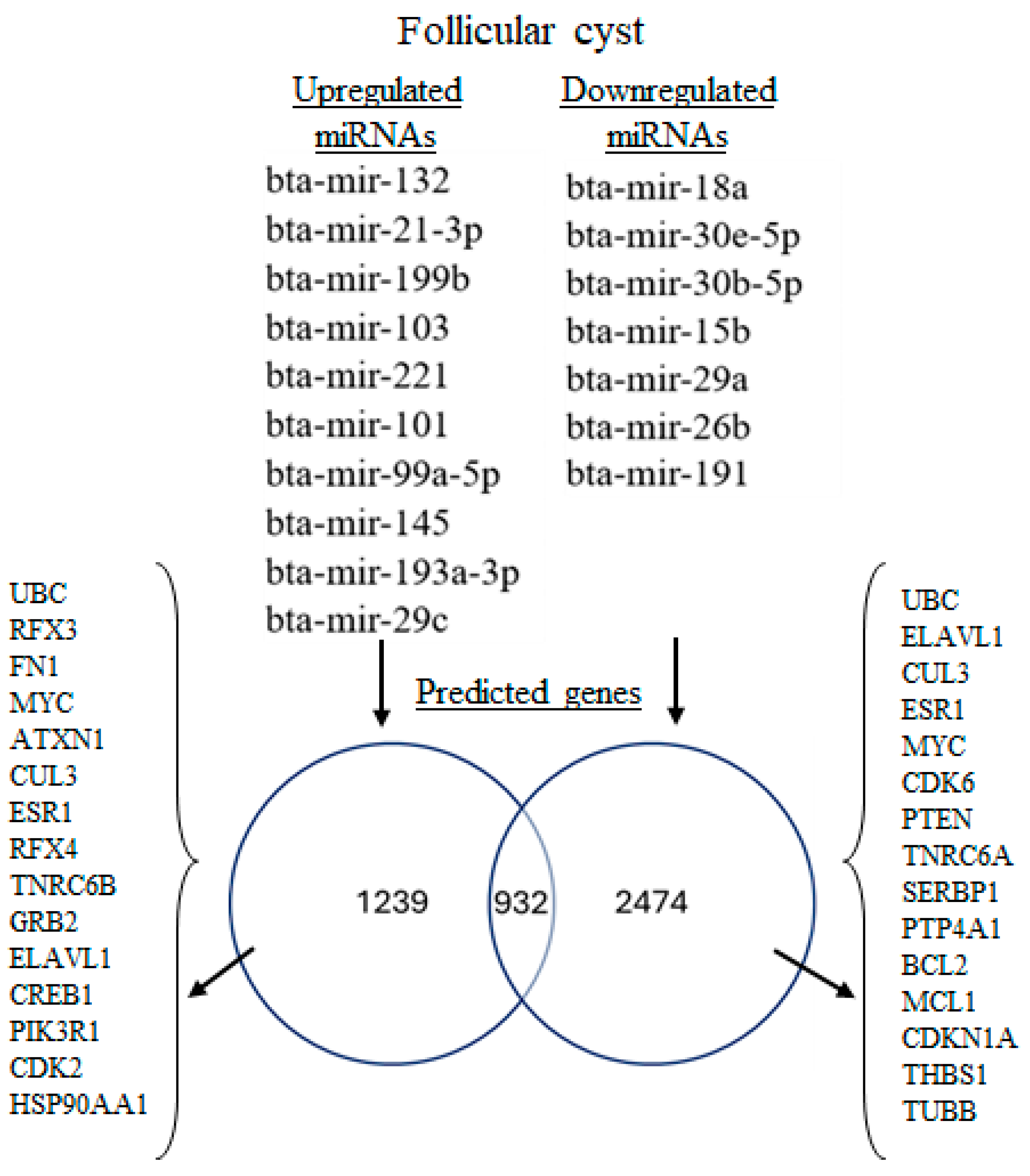 Genes 16 00791 g003