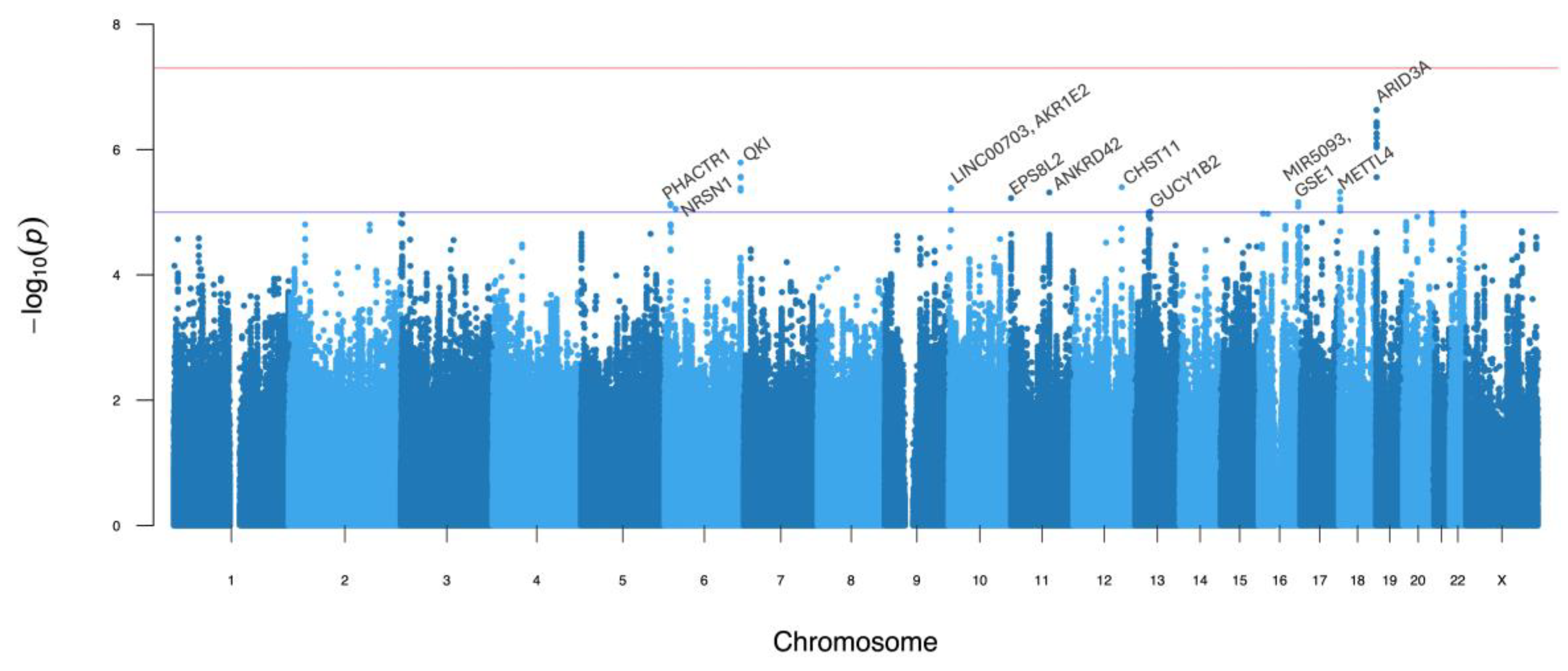 Genes 16 00793 g001
