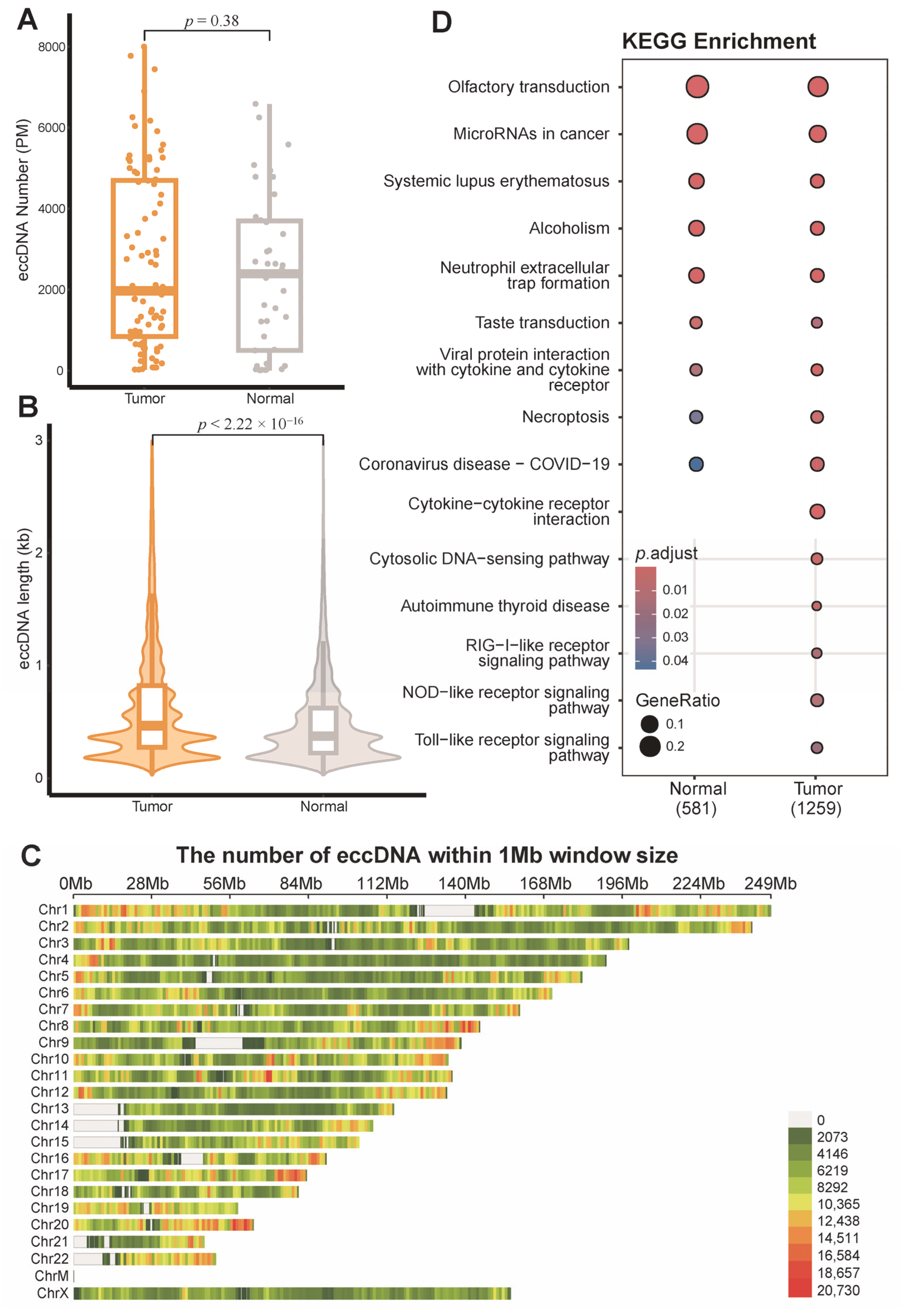 Genes 16 00802 g001 Genes 16 00802 g001
