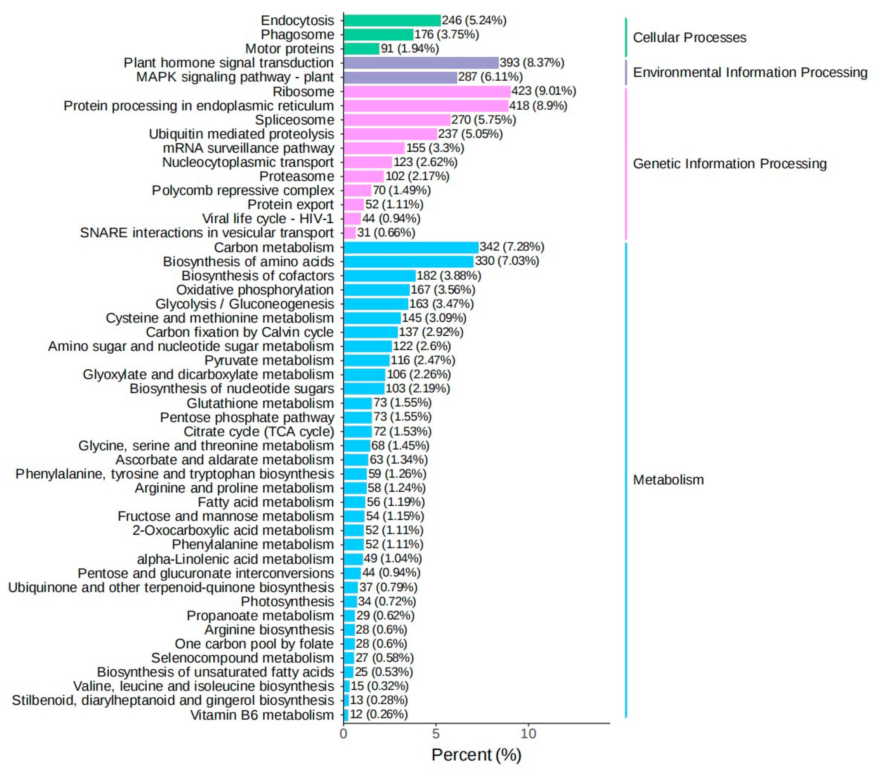 Genes 16 00811 g005