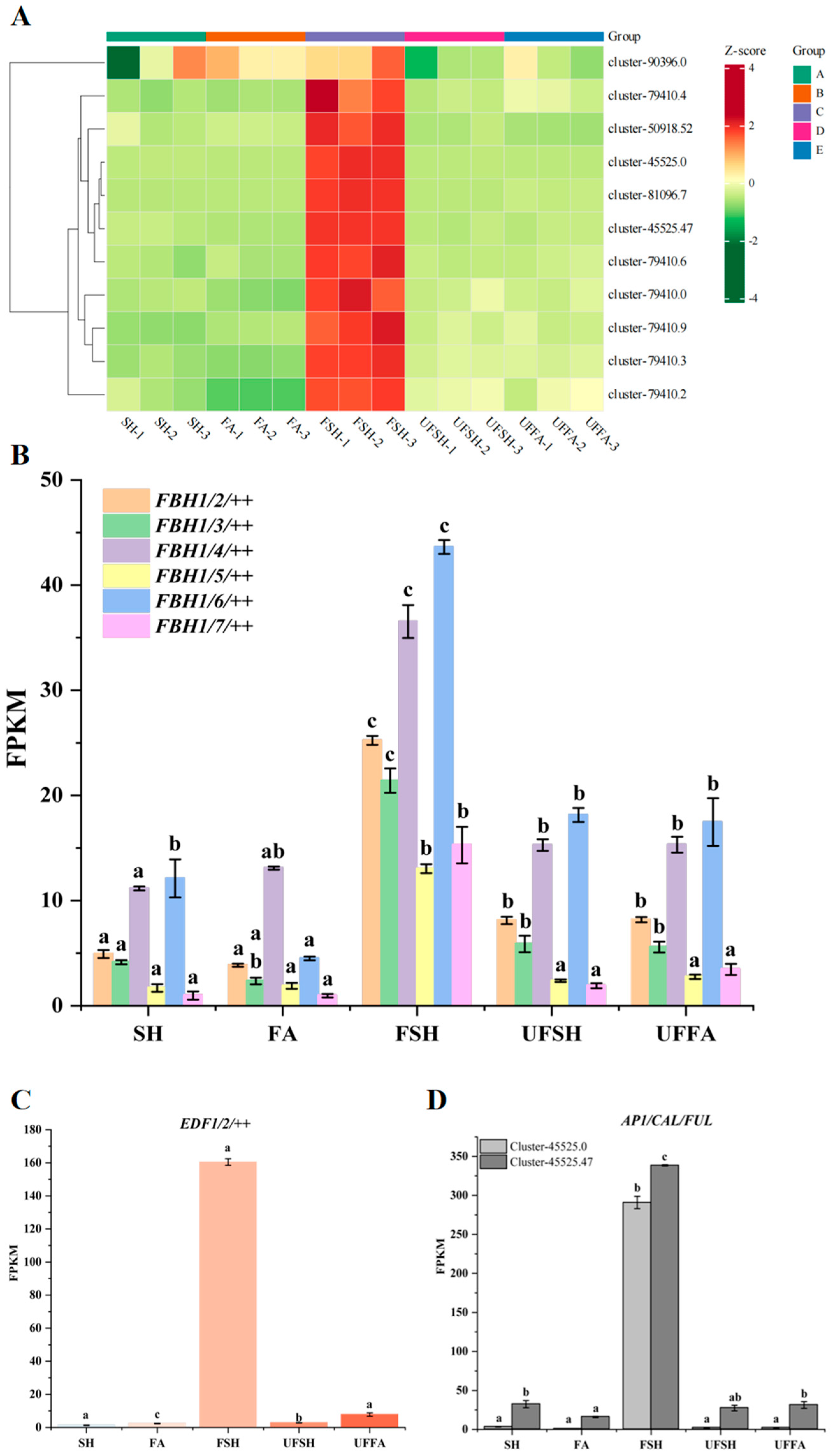 Genes 16 00811 g010