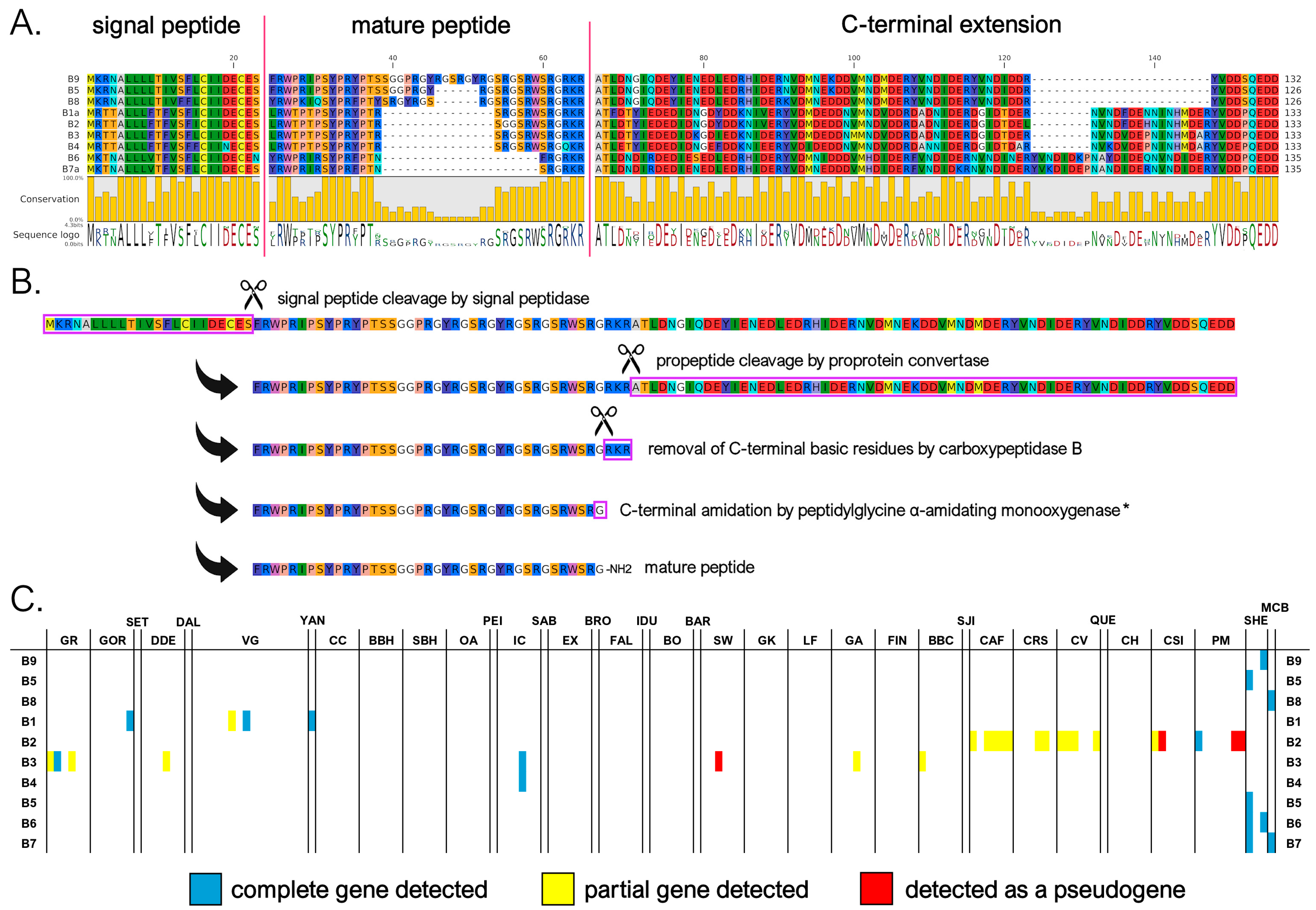 Genes 16 00816 g003