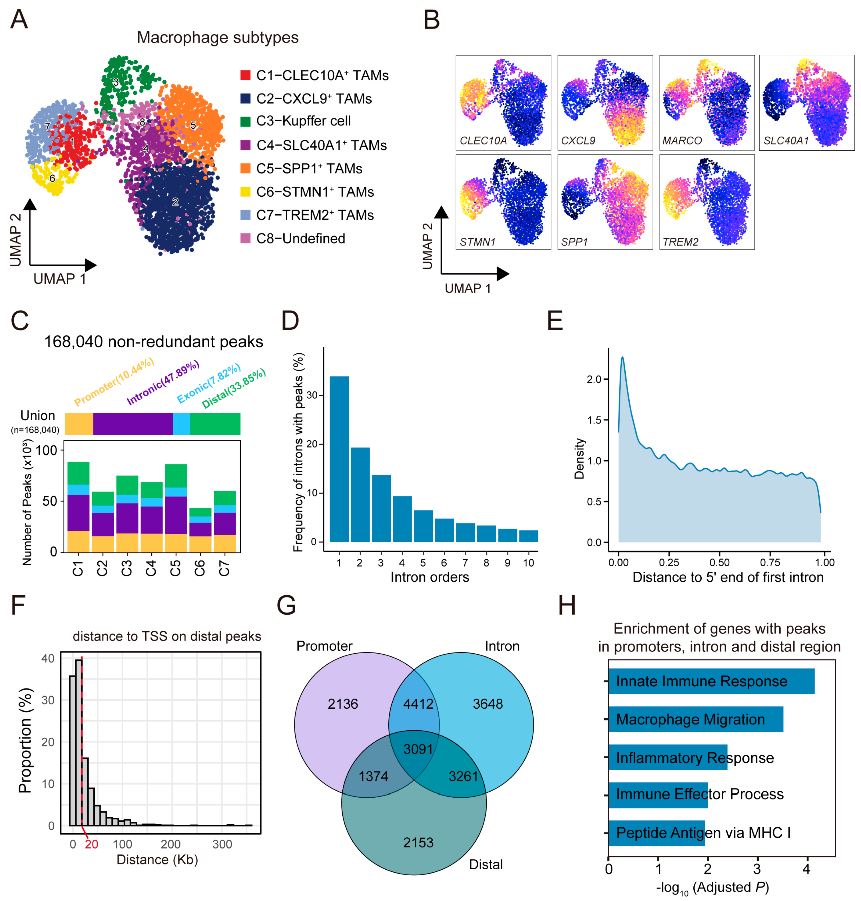 Genes 16 00817 g003