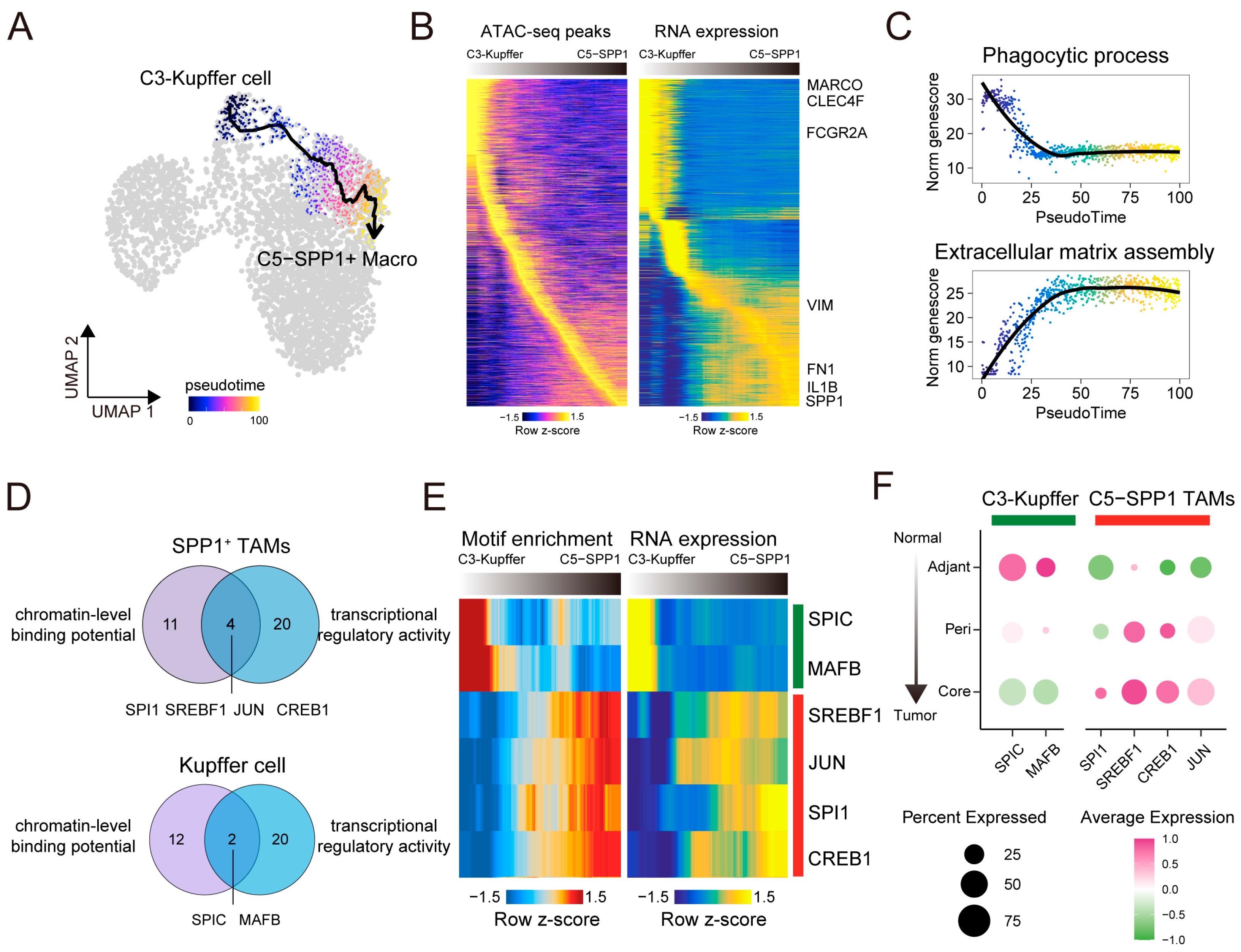 Genes 16 00817 g006