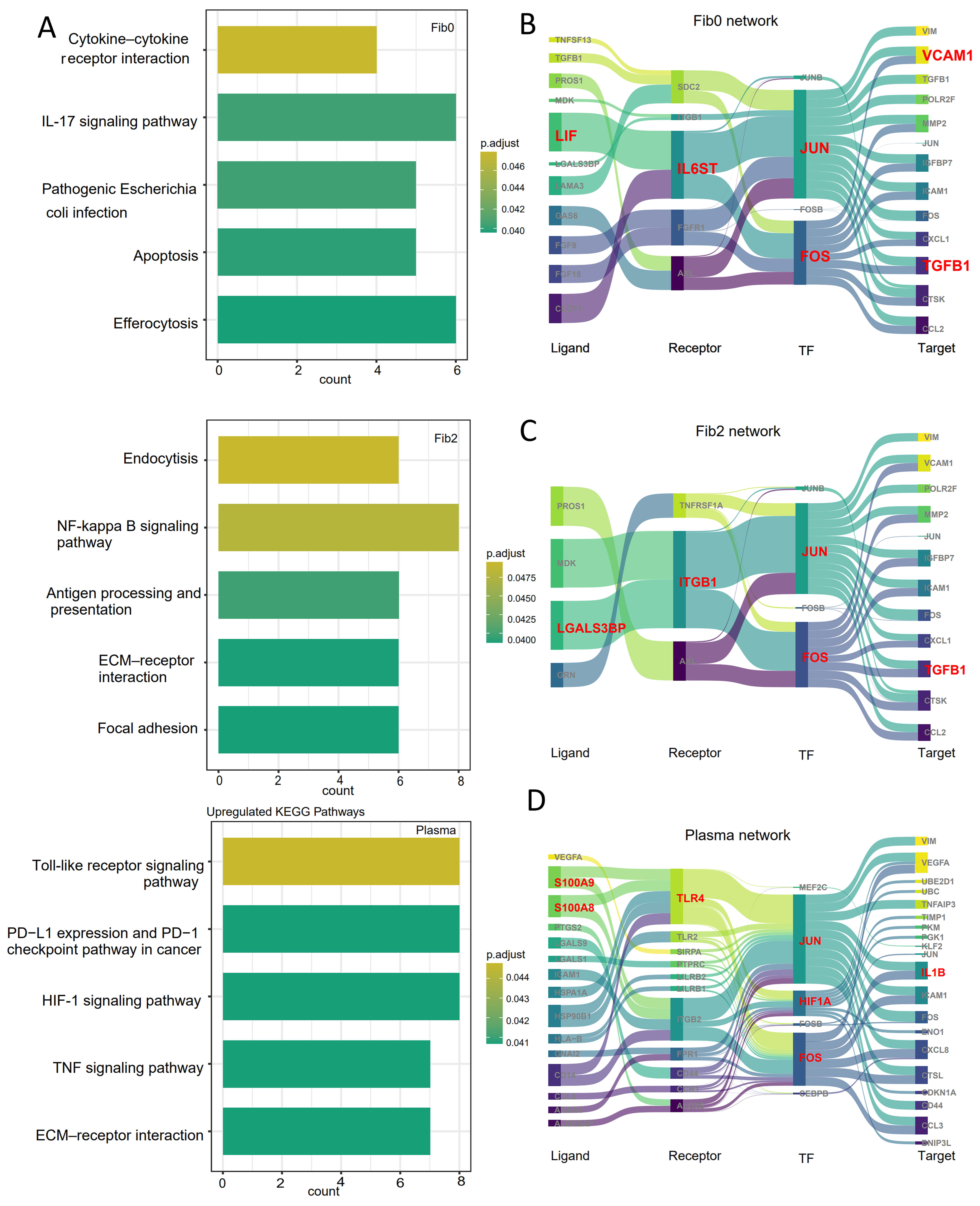 Genes 16 00821 g004