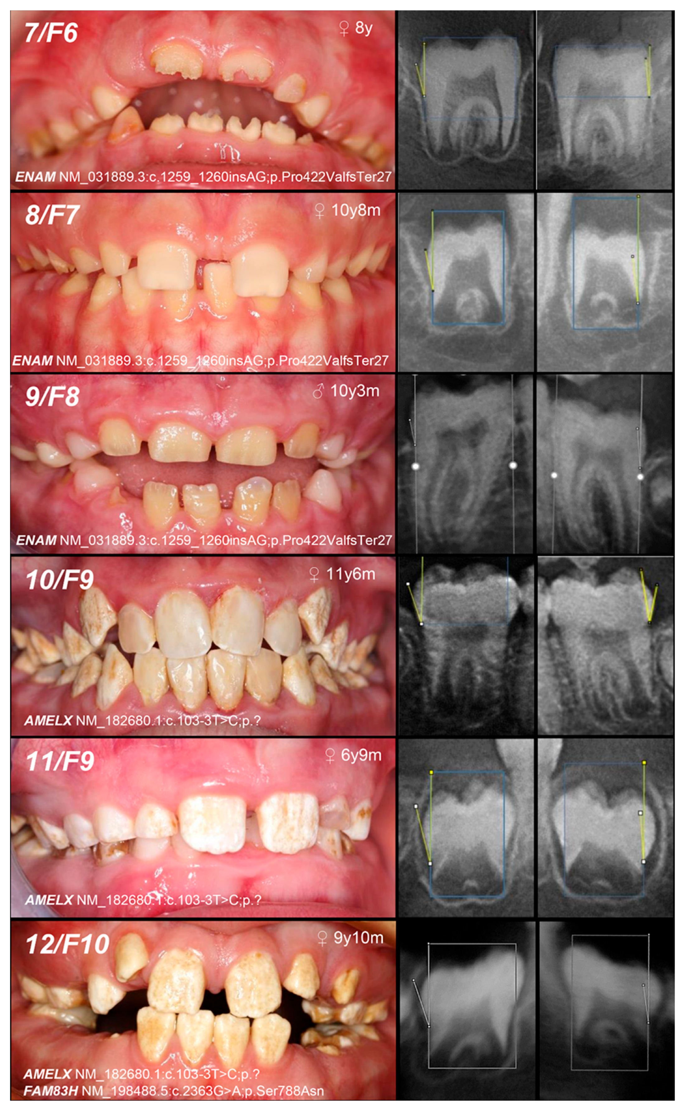 Genes 16 00822 g002b