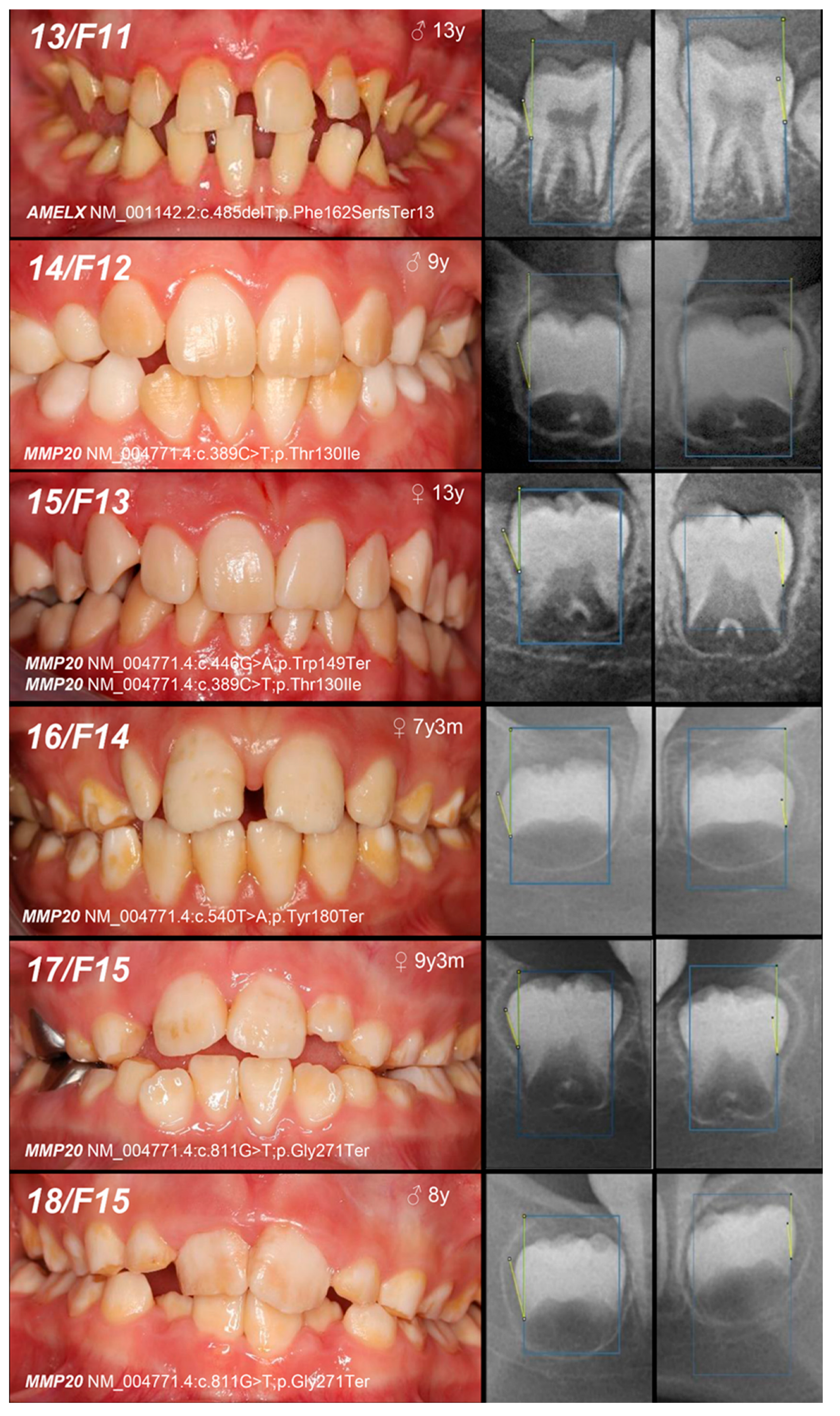 Genes 16 00822 g002c