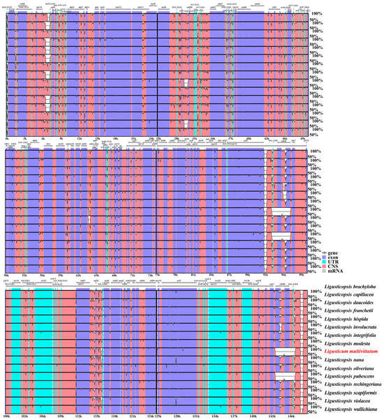 Phylogenetic Analyses and Plastome Comparison to Confirm the