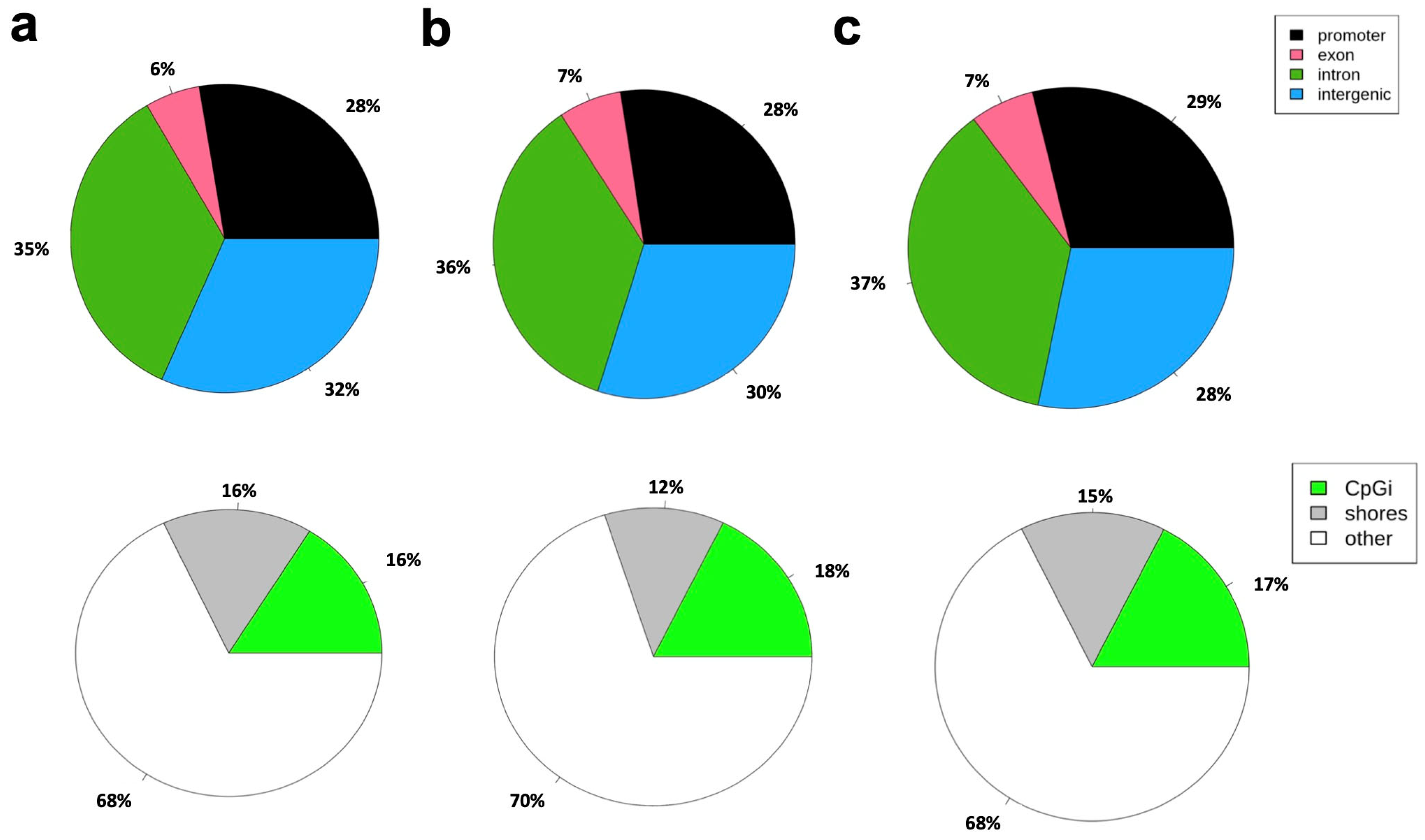 Genes 16 00825 g005