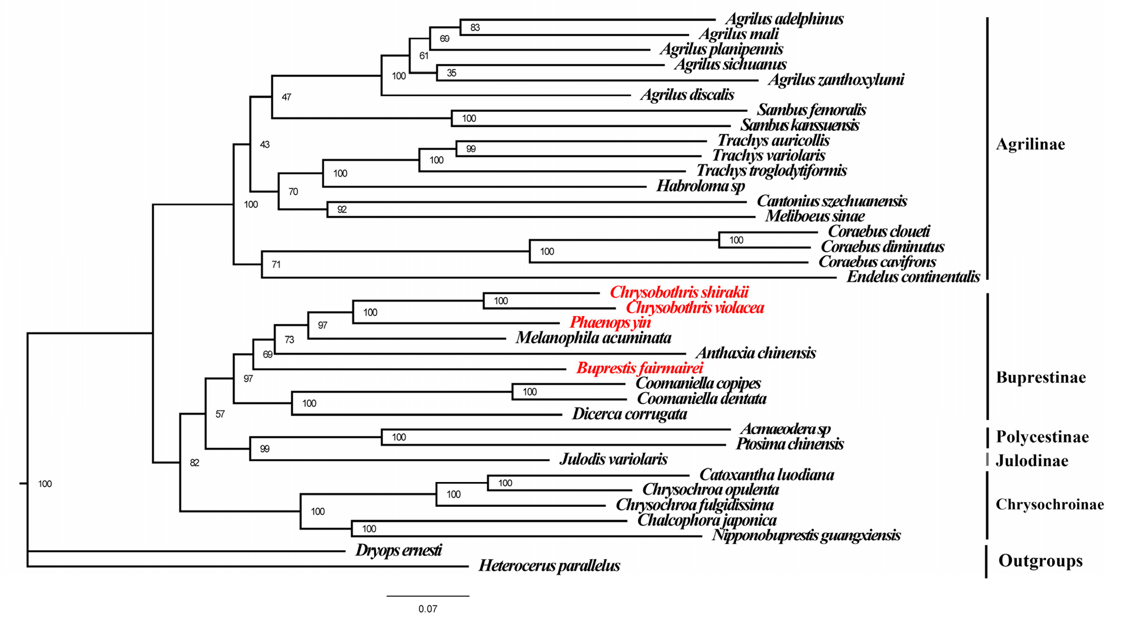 Genes 16 00828 g004