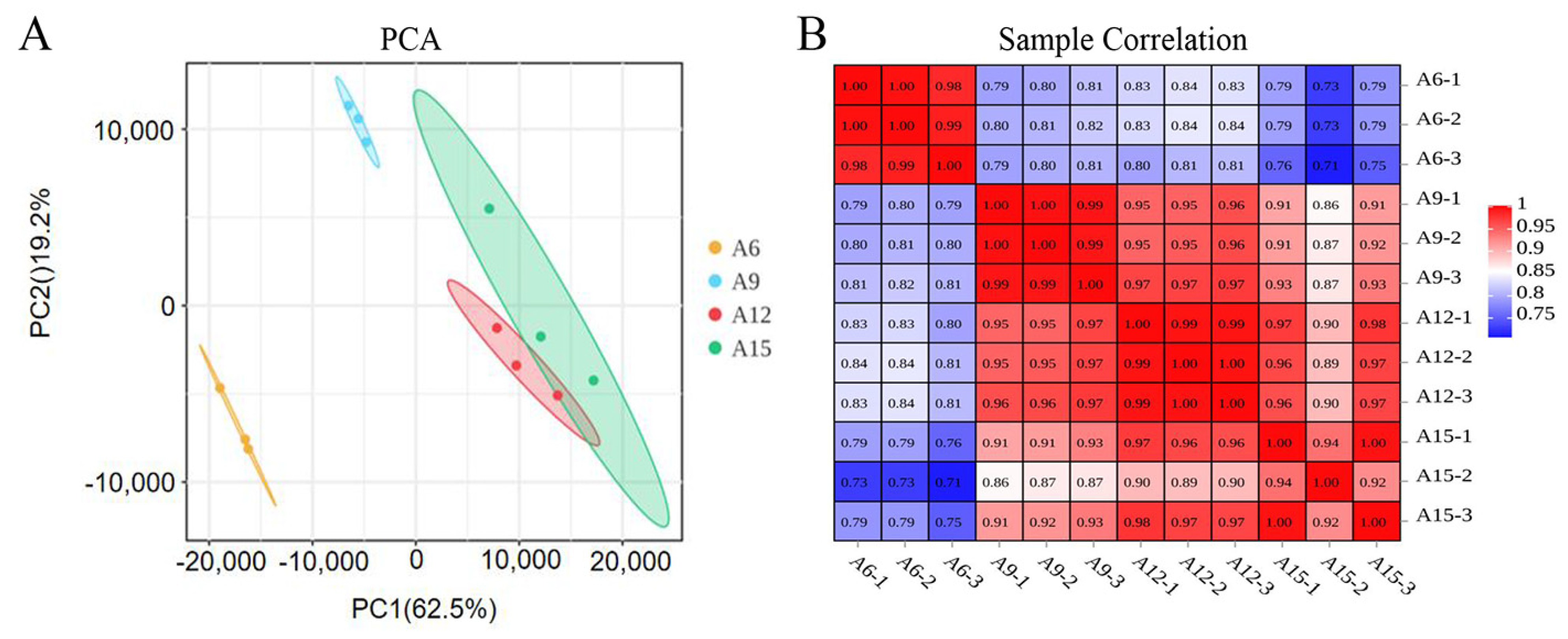 Genes 16 00845 g002