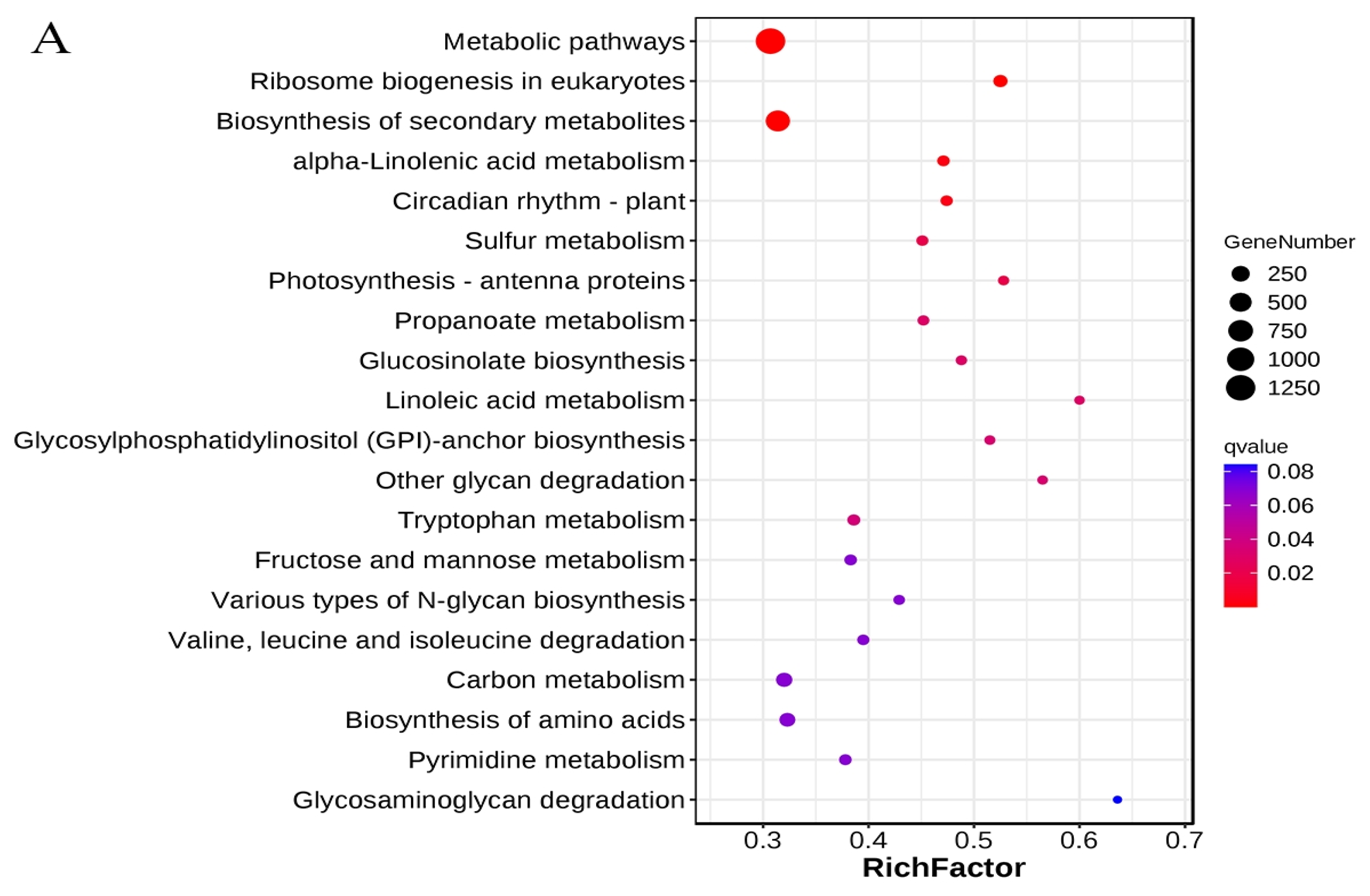 Genes 16 00845 g004a