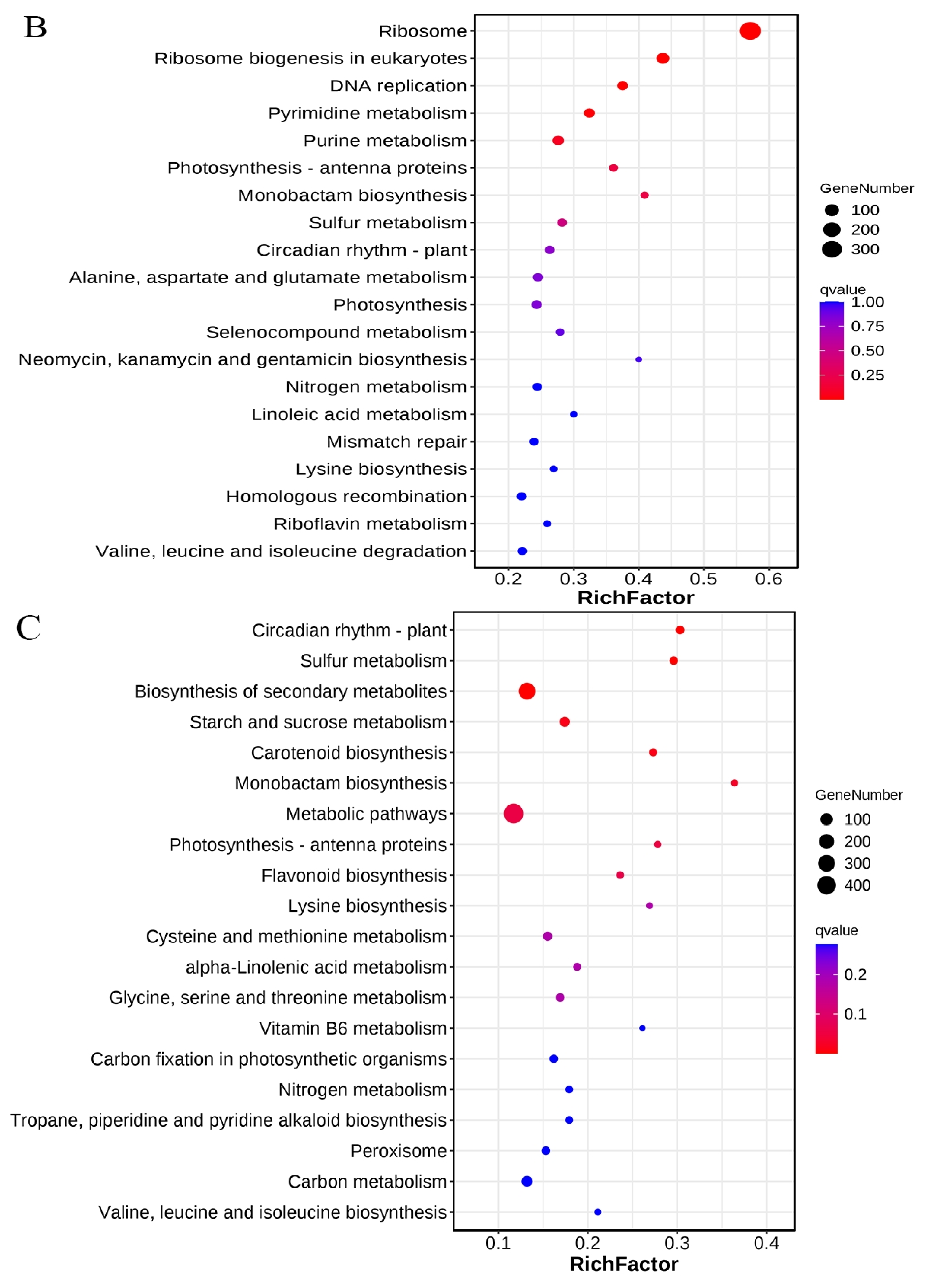 Genes 16 00845 g004b