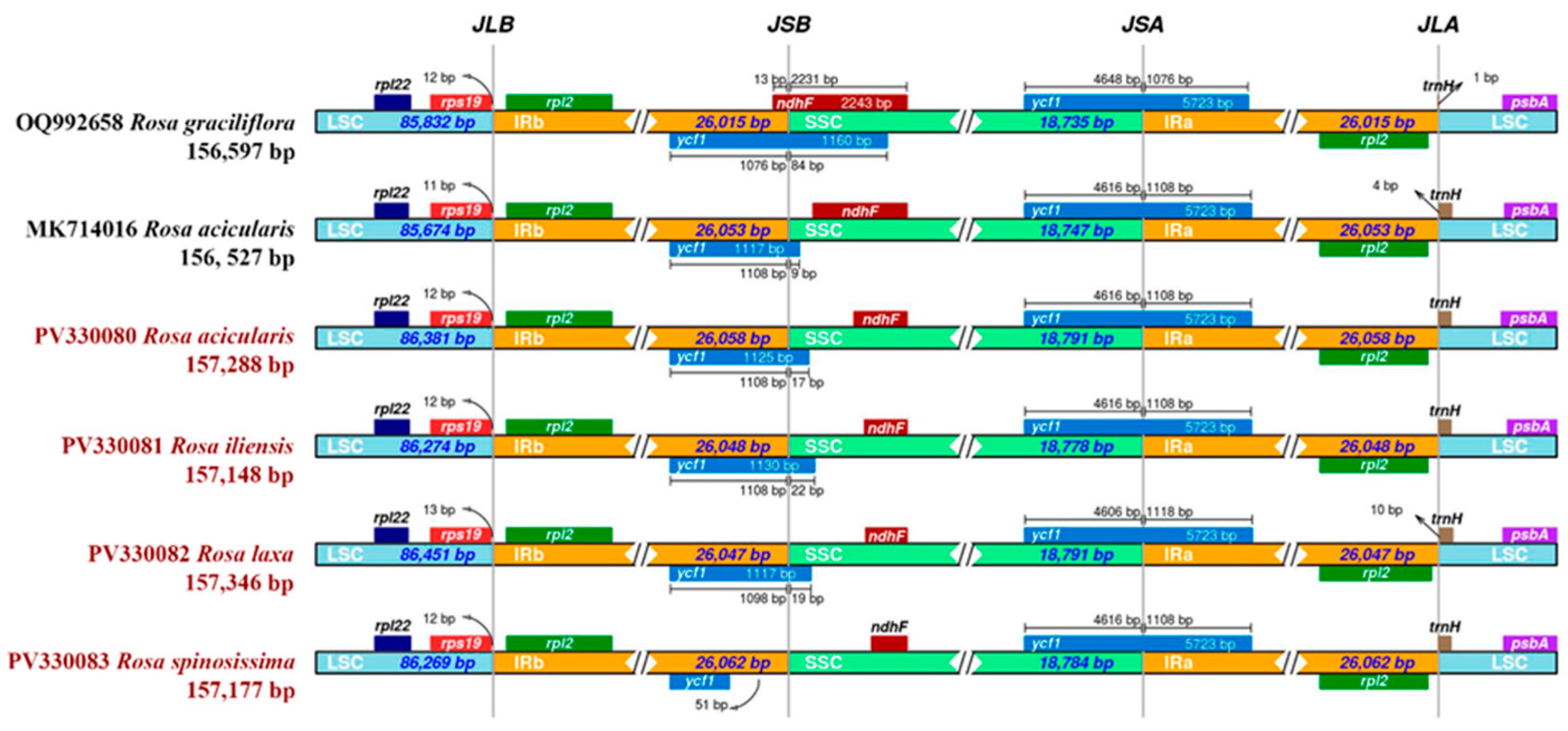 Genes 16 00852 g004 Genes 16 00852 g004