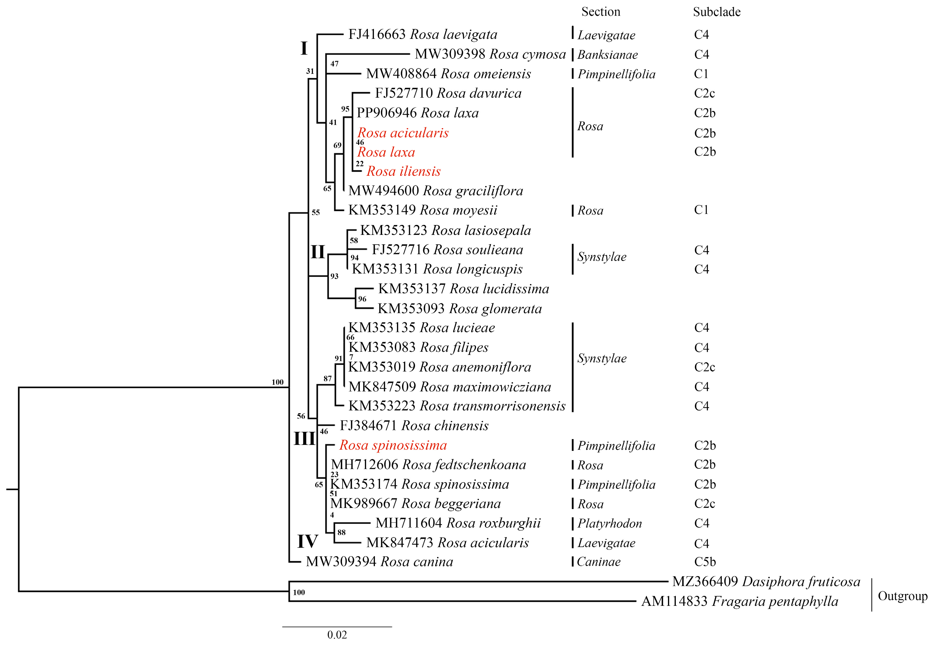 Genes 16 00852 g007 Genes 16 00852 g007