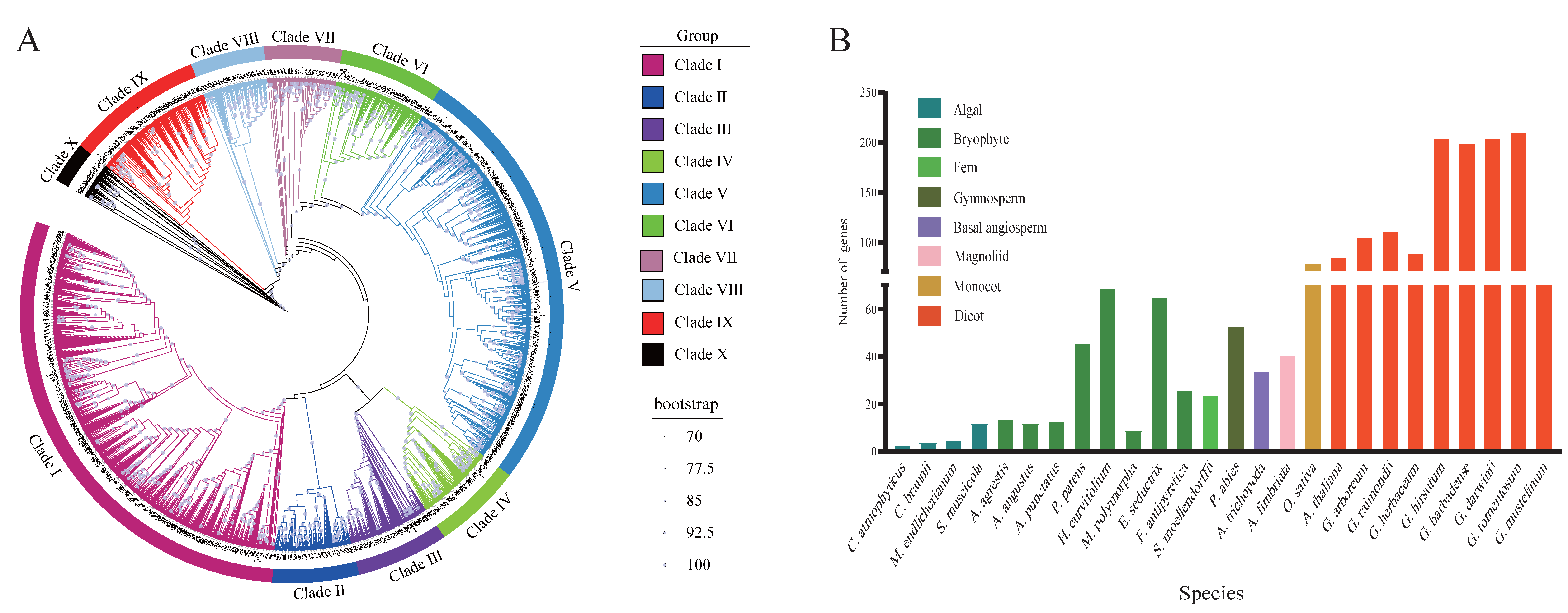Genes 16 00854 g001