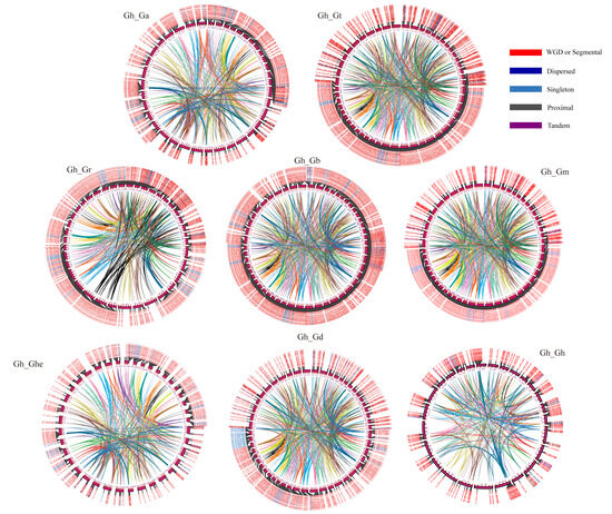 Gene 北京 3/11 Genome-Wide Characterization of the ABI3 Gene Family in Cotton