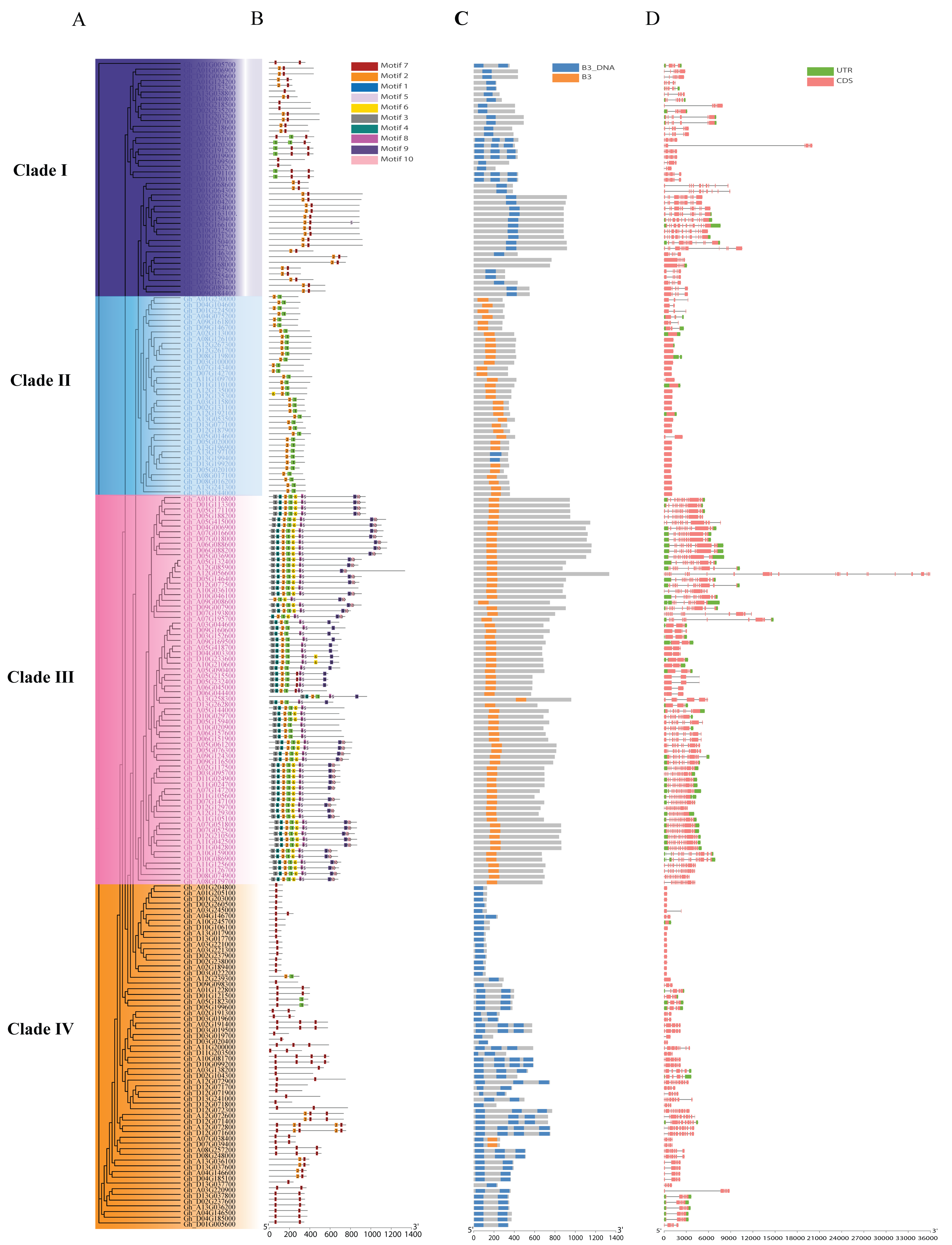 Genes 16 00854 g004